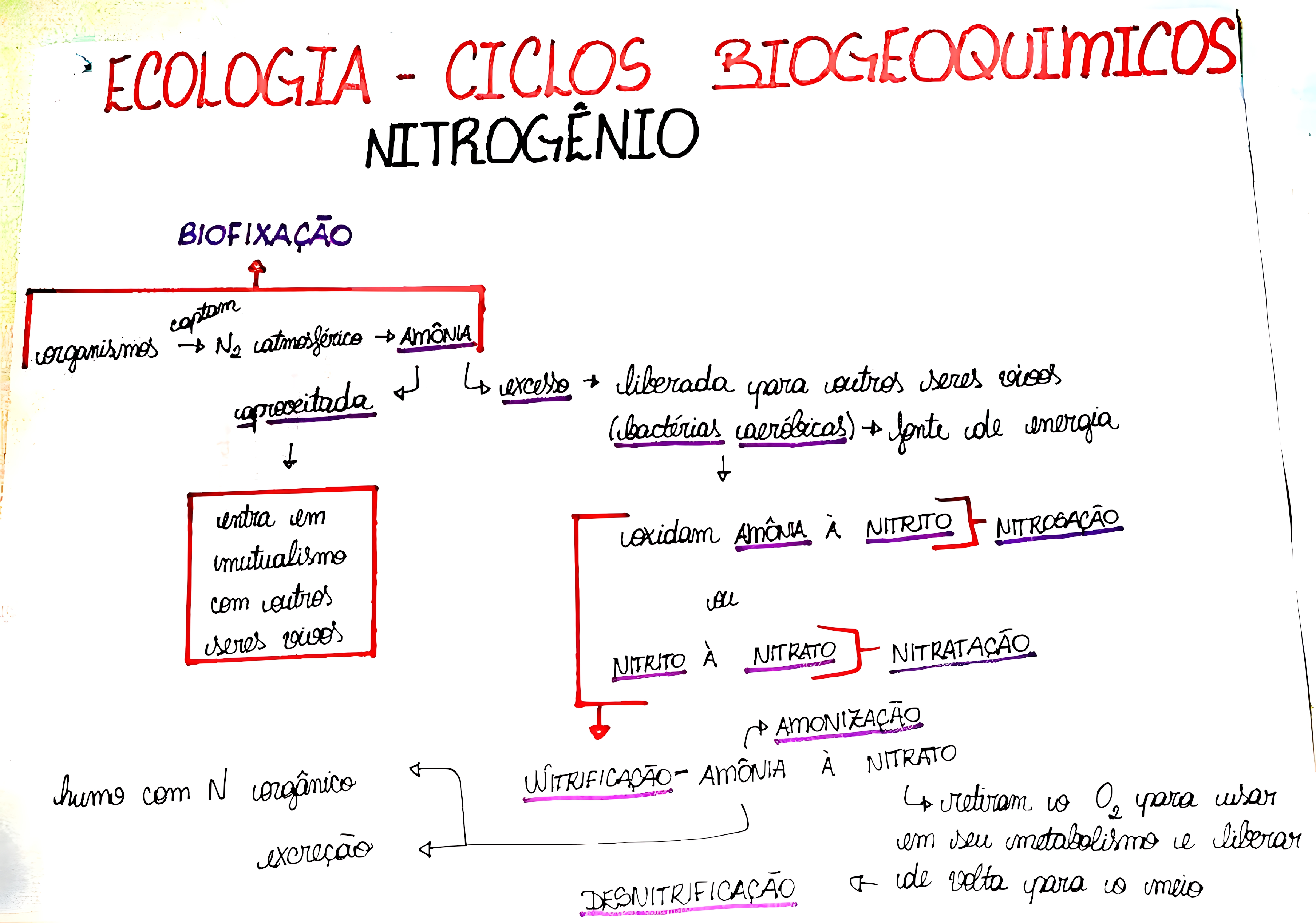 MAPA MENTAL SOBRE NITROGENIO