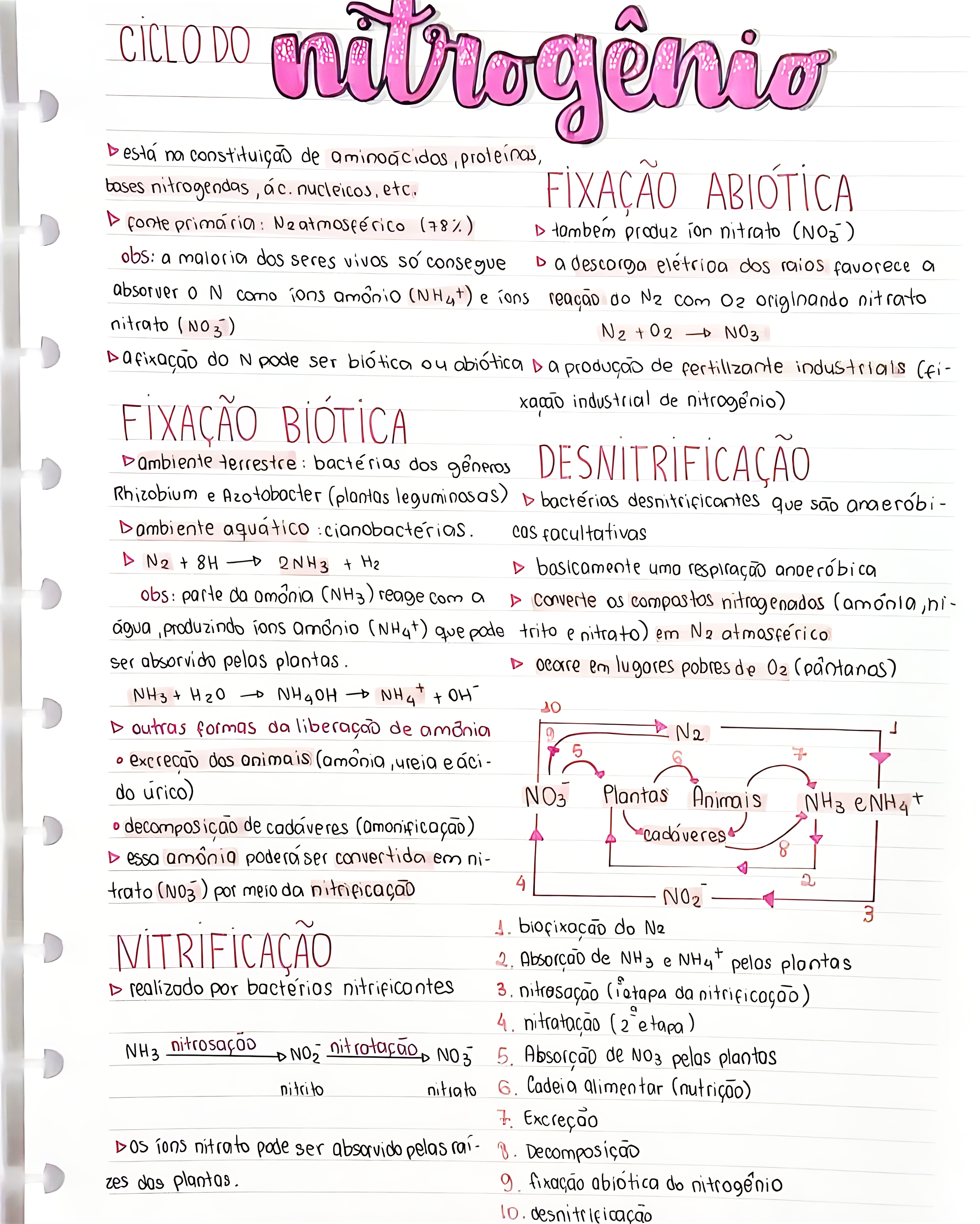 MAPA MENTAL SOBRE NITROGENIO