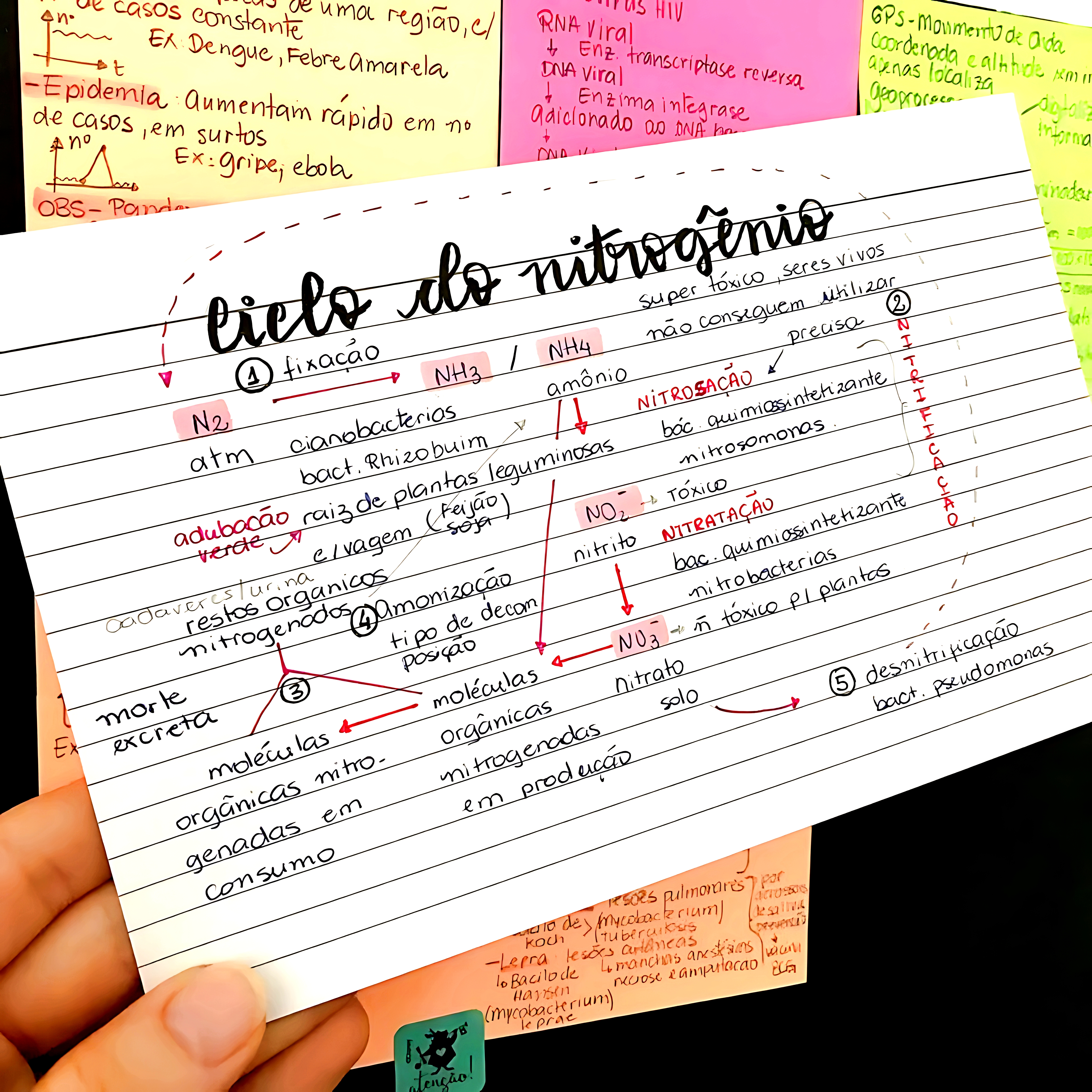 MAPA MENTAL SOBRE NITROGENIO