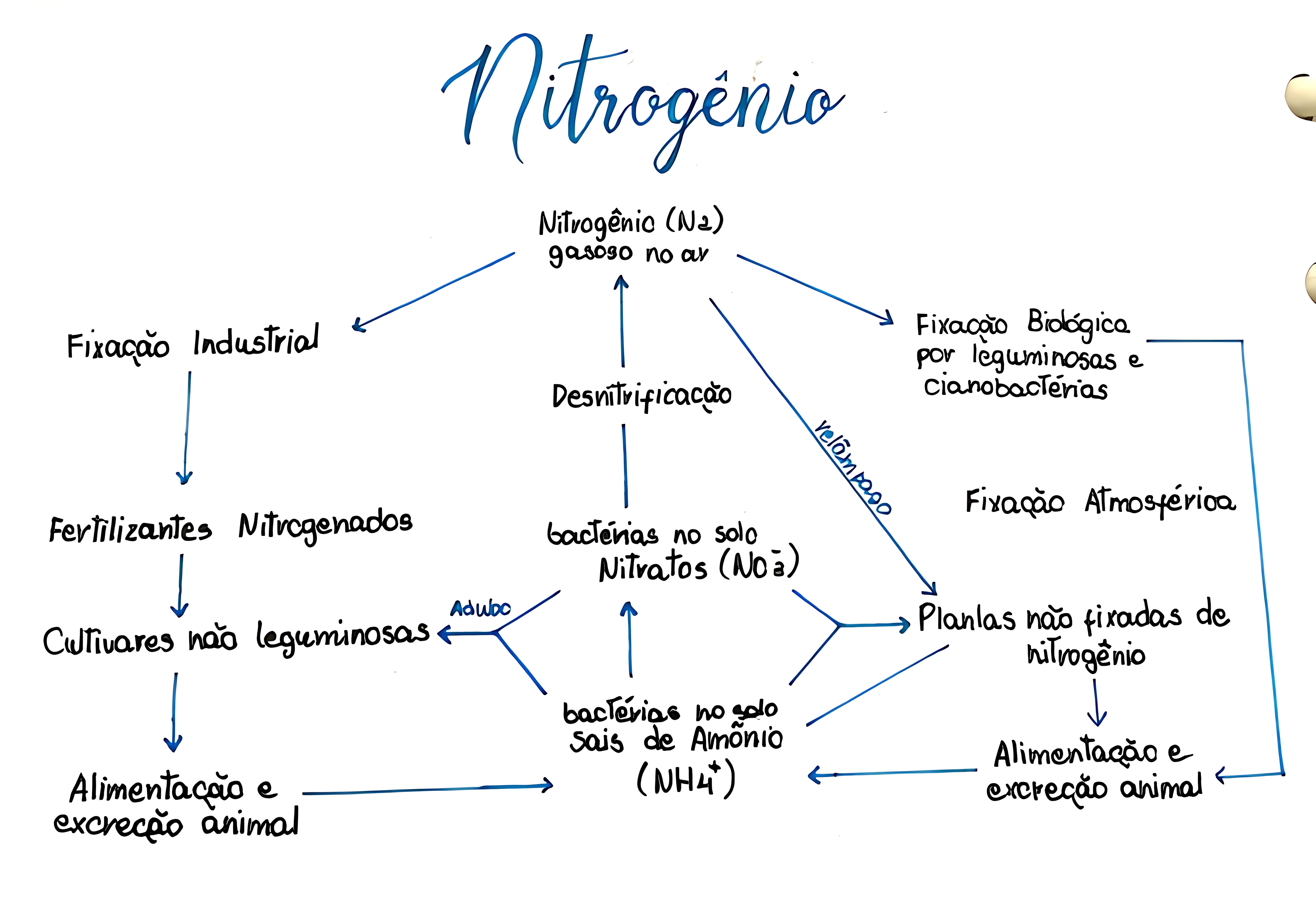 MAPA MENTAL SOBRE NITROGENIO