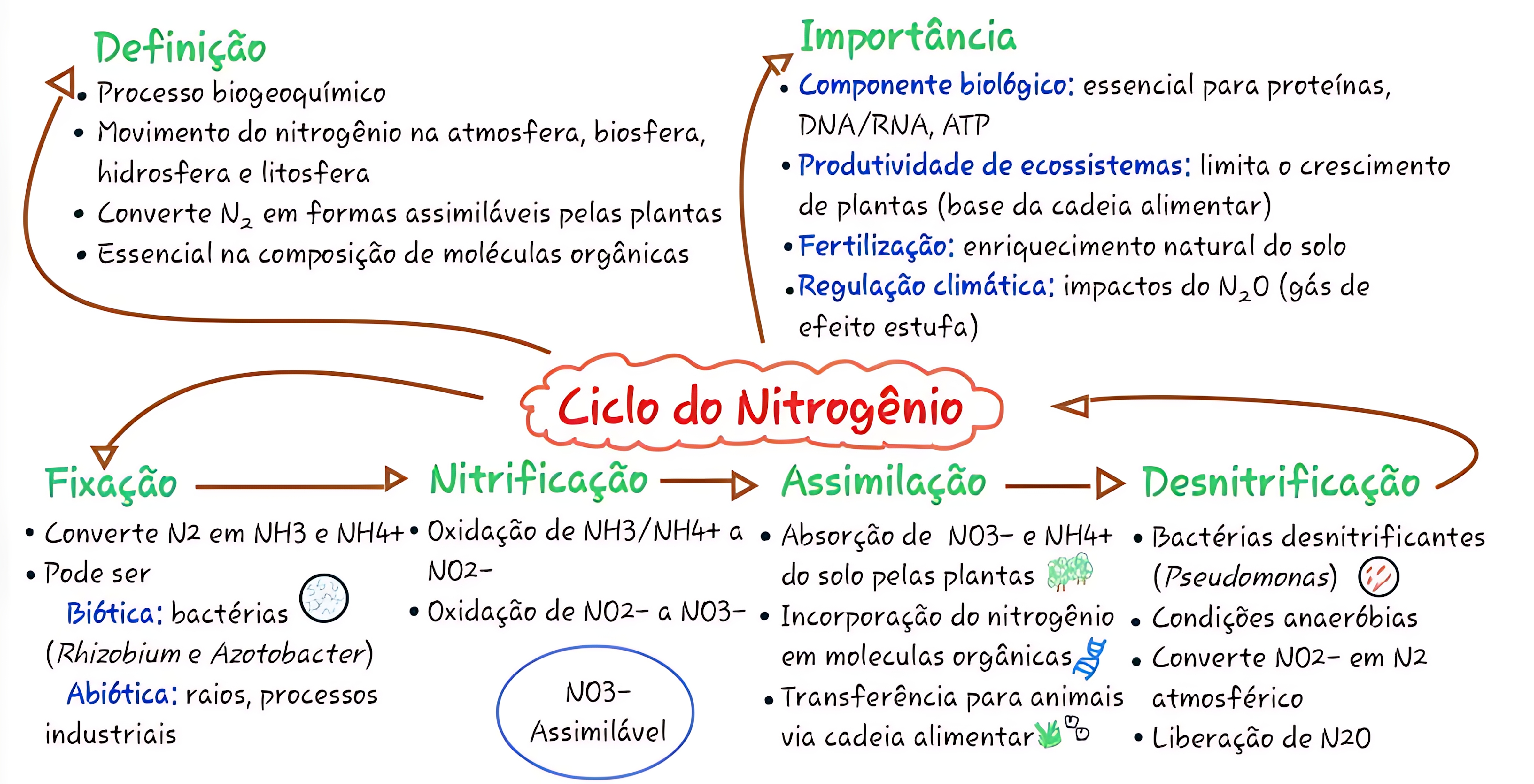 MAPA MENTAL SOBRE NITROGENIO