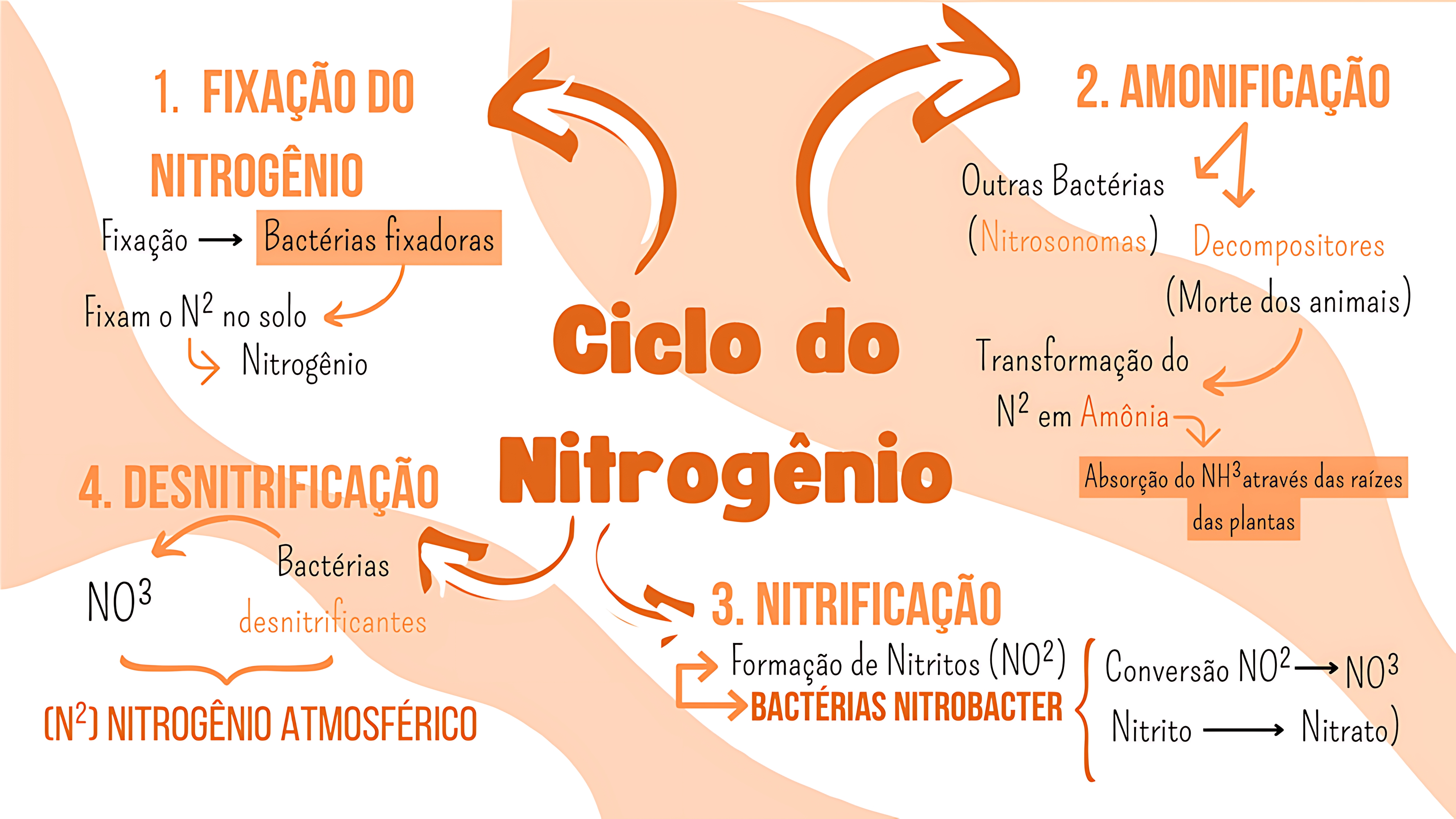 MAPA MENTAL SOBRE NITROGENIO