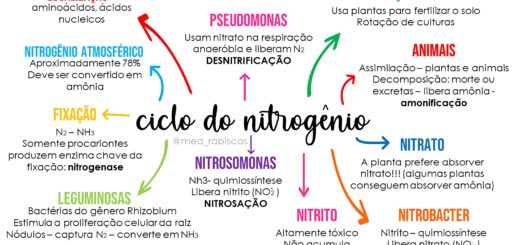 MAPA MENTAL SOBRE NITROGENIO