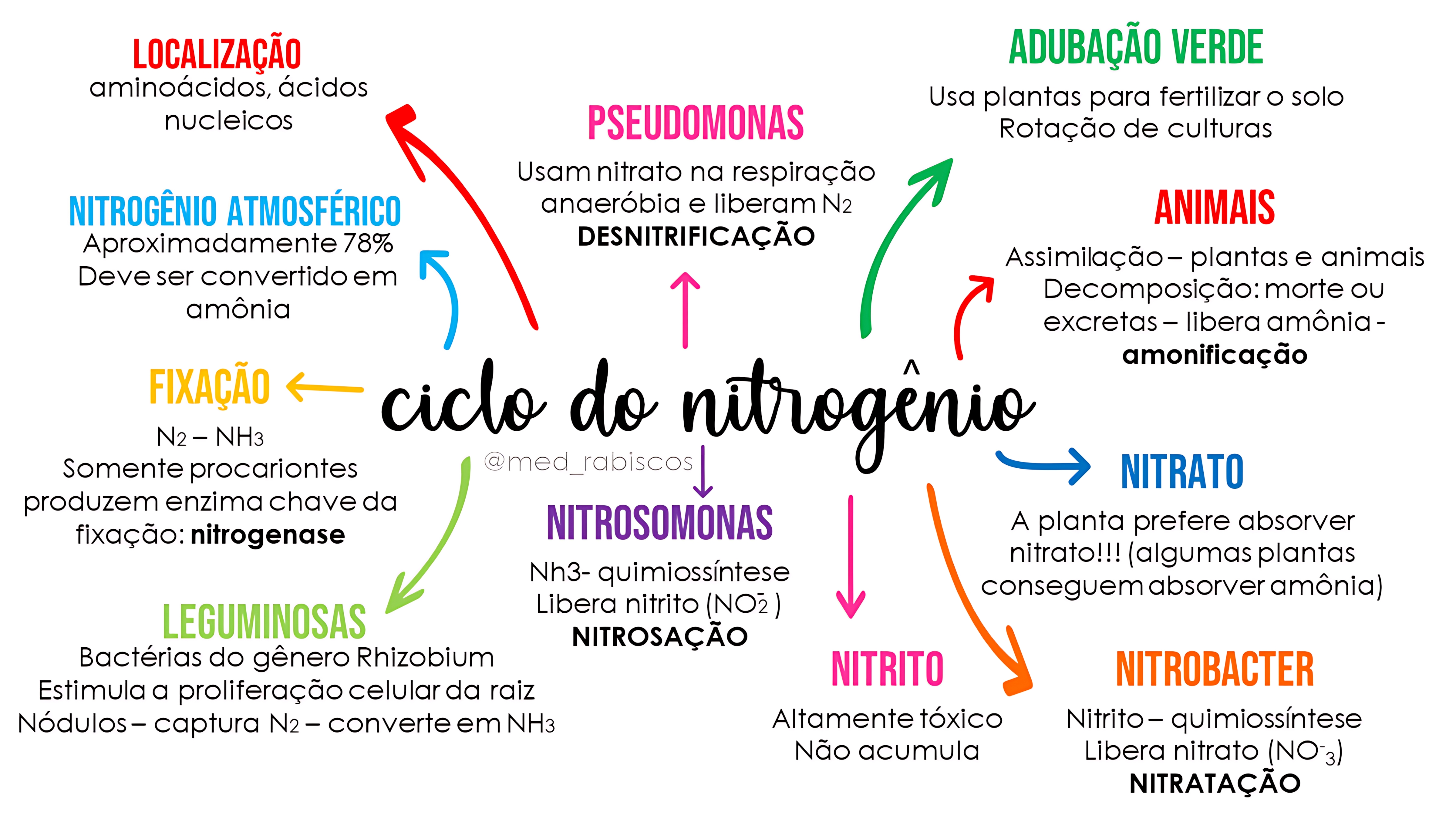 MAPA MENTAL SOBRE NITROGENIO