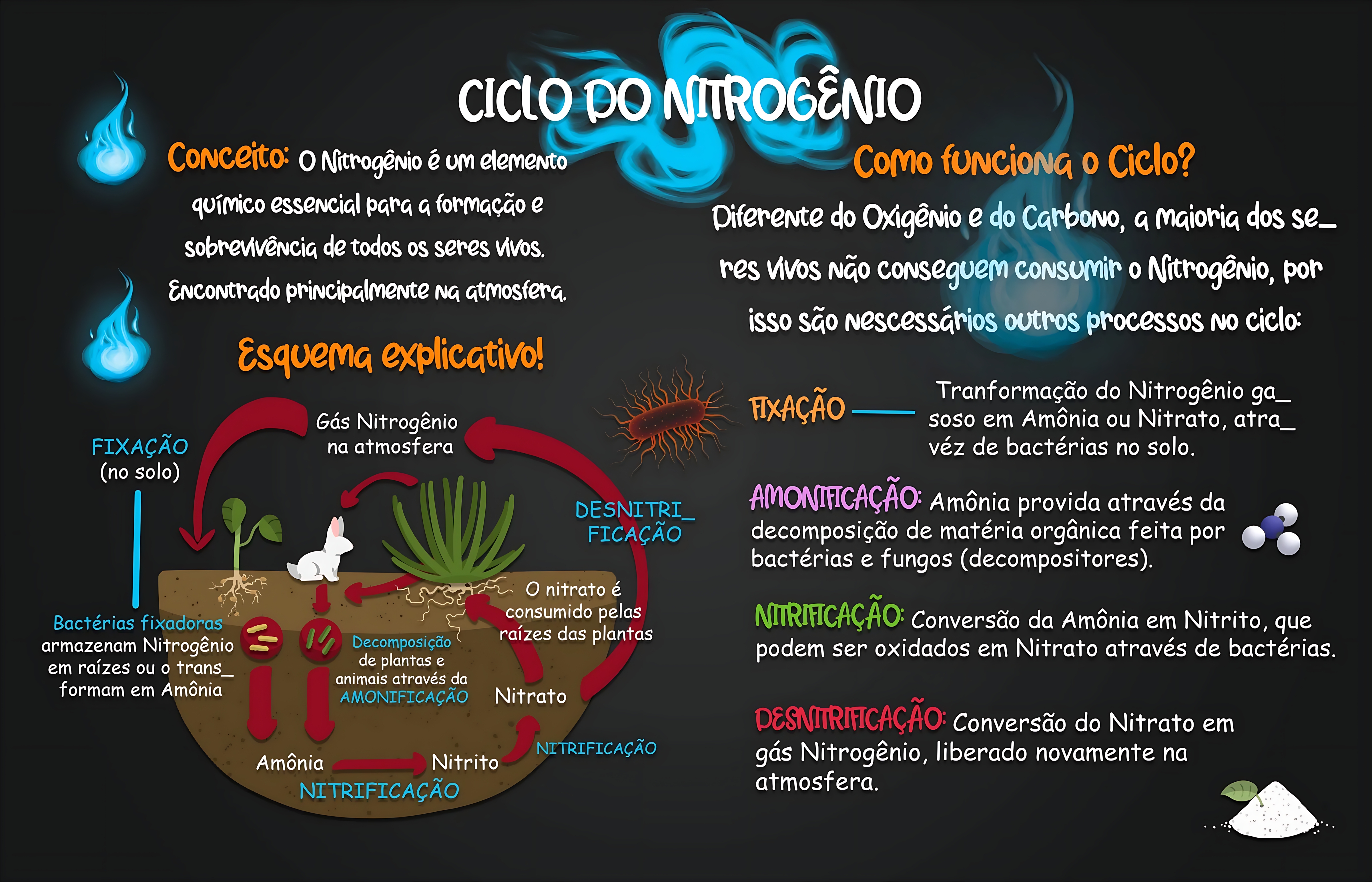 MAPA MENTAL SOBRE NITROGENIO
