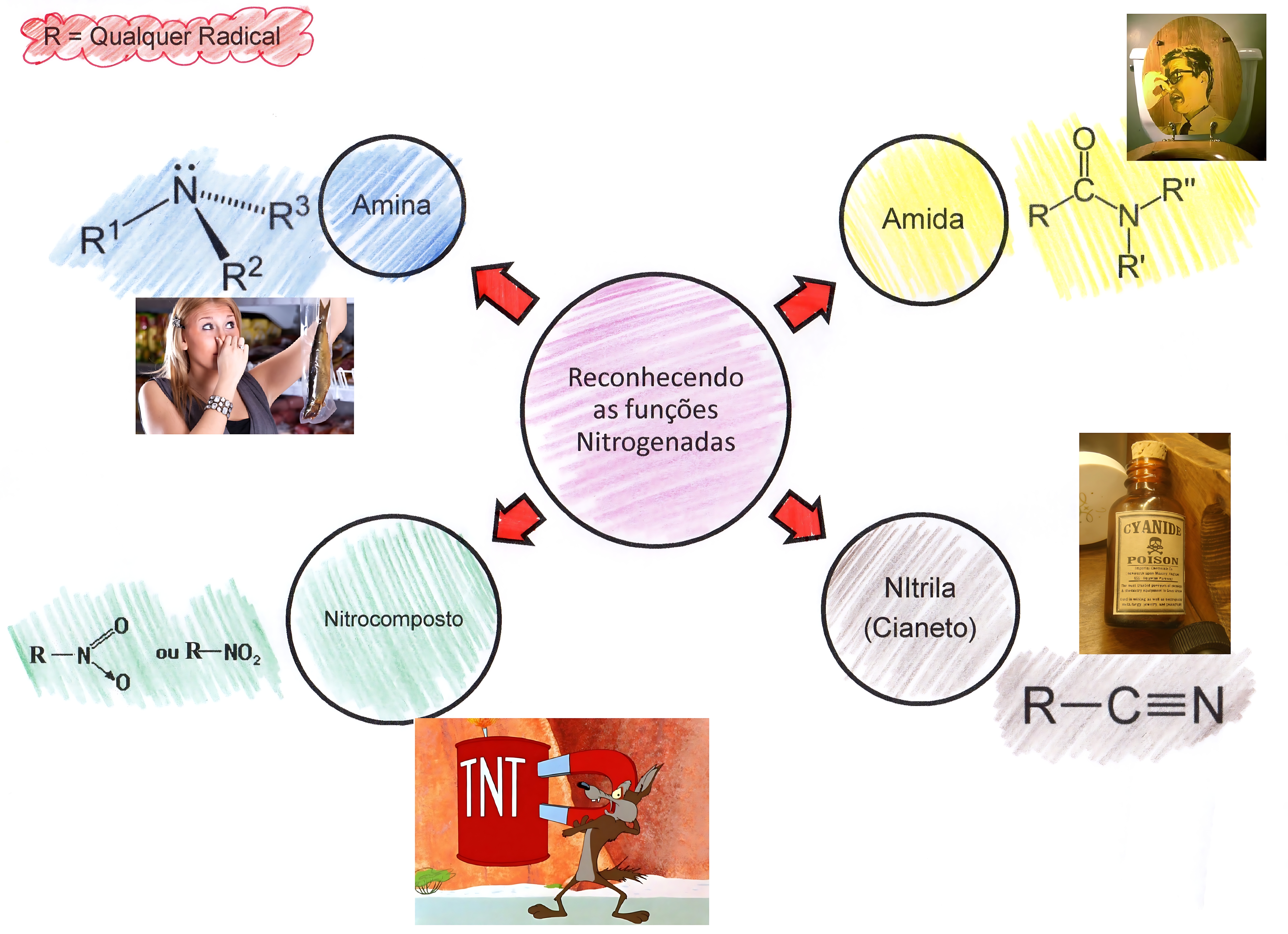 MAPA MENTAL SOBRE NITROGENIO