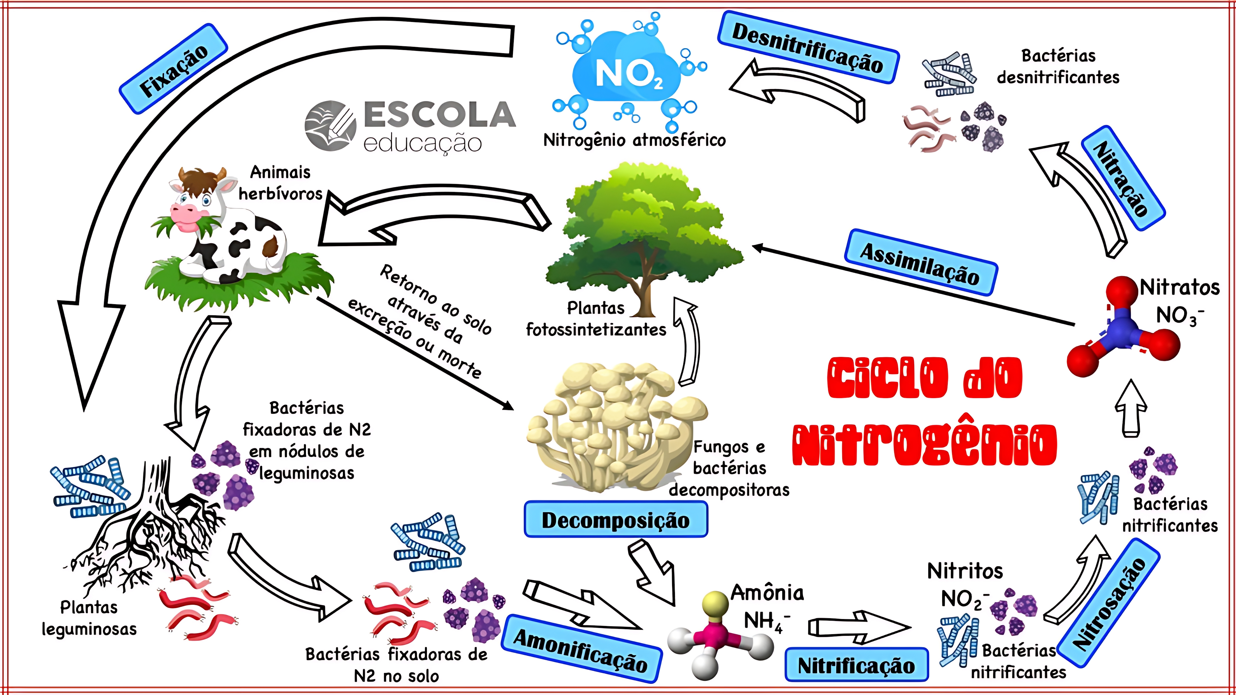 MAPA MENTAL SOBRE NITROGENIO