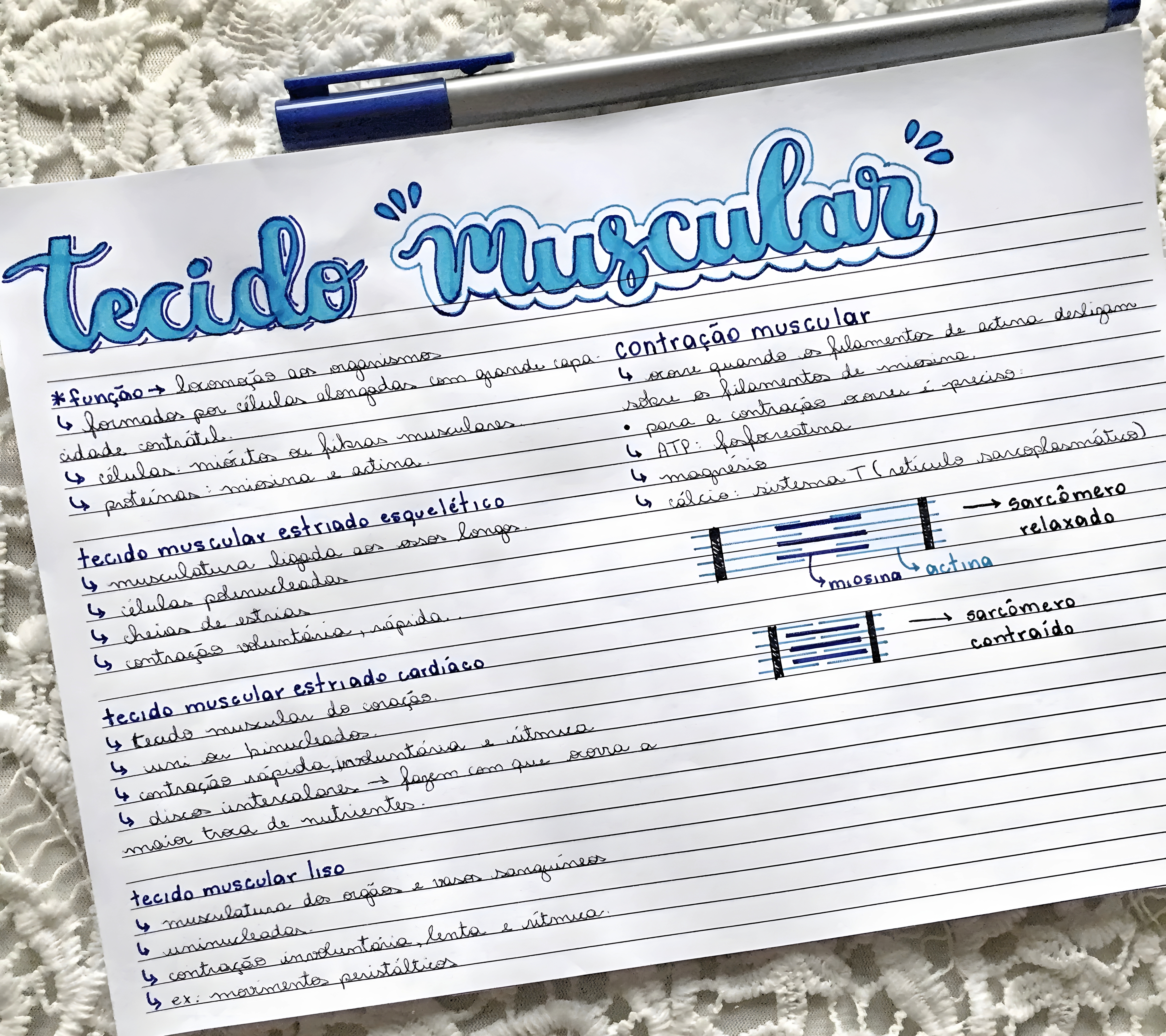 MAPA MENTAL SOBRE TECIDO MUSCULAR