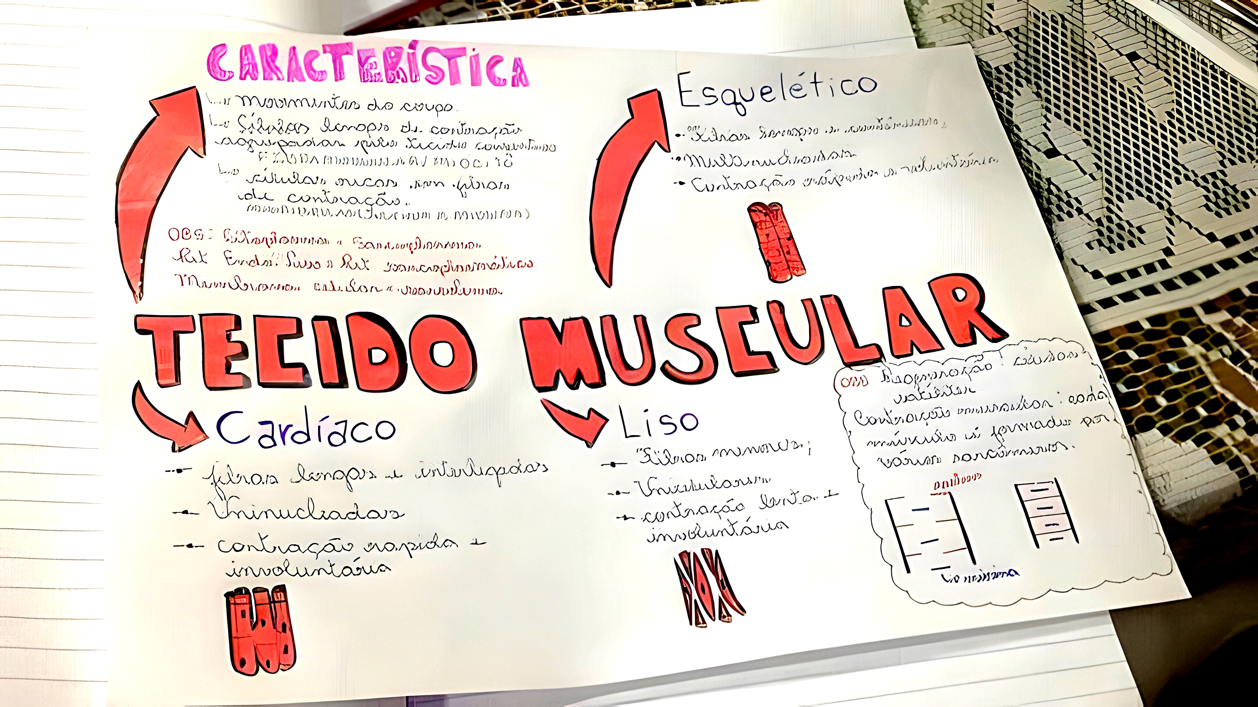MAPA MENTAL SOBRE TECIDO MUSCULAR