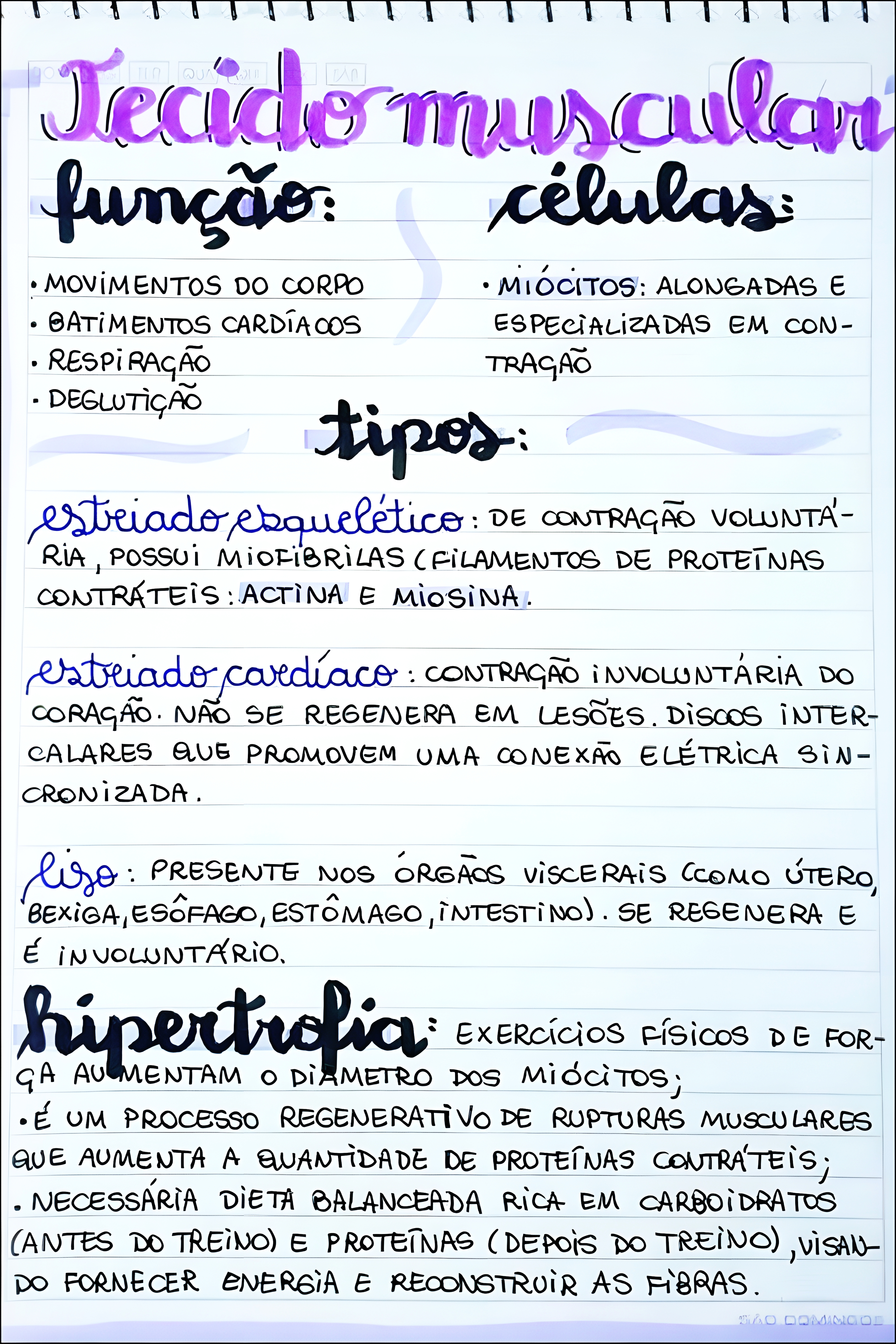 MAPA MENTAL SOBRE TECIDO MUSCULAR