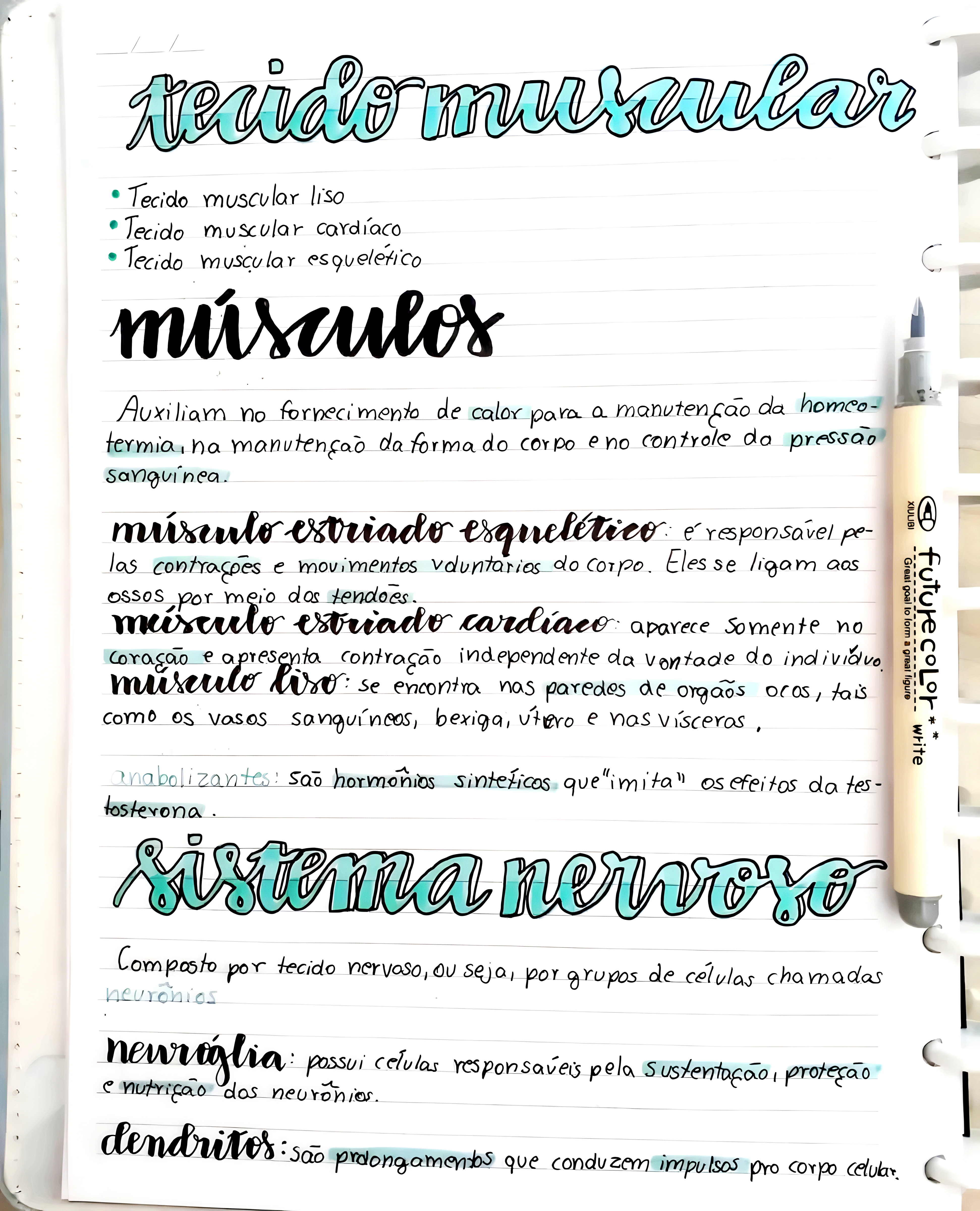 MAPA MENTAL SOBRE TECIDO MUSCULAR