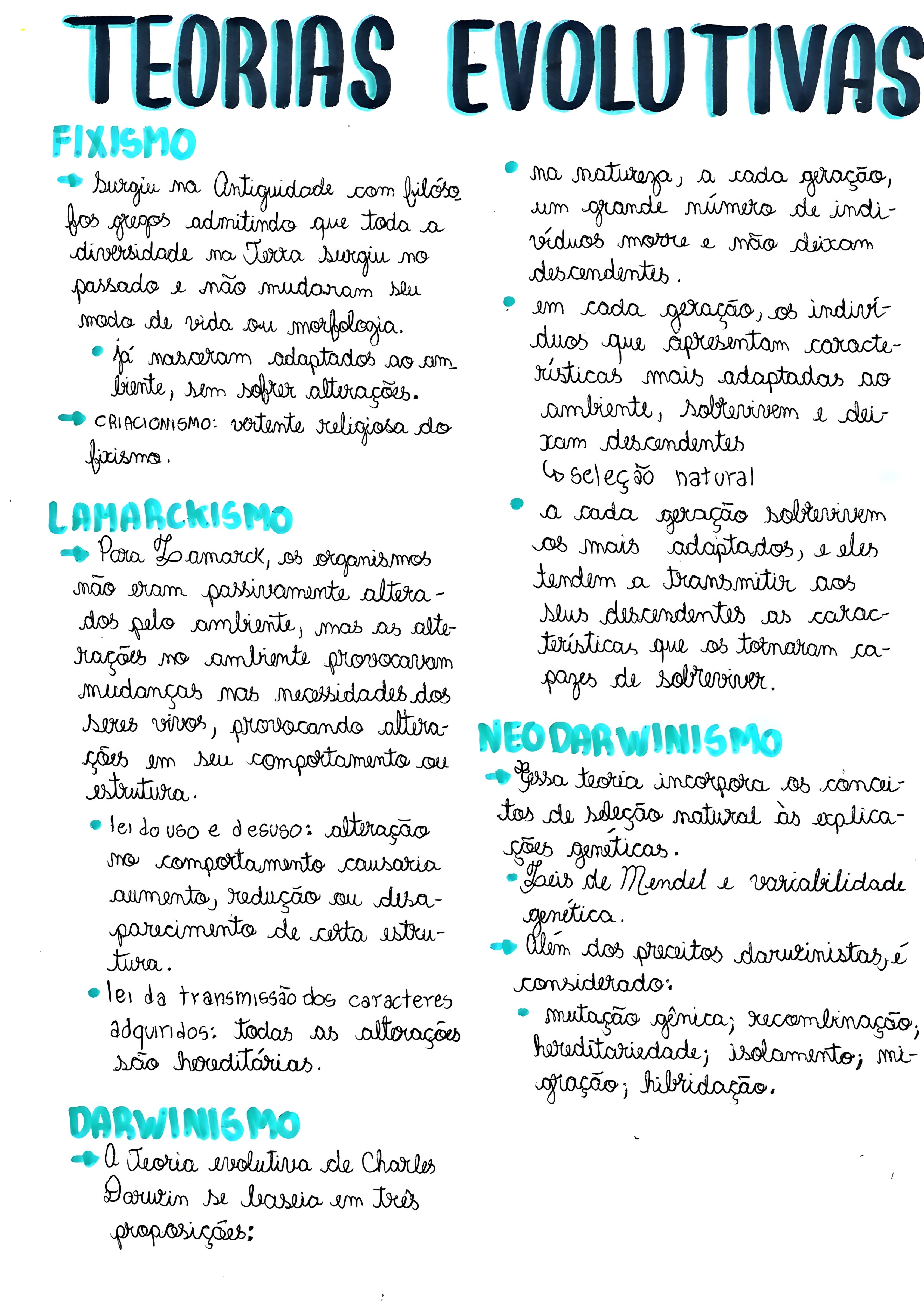 MAPA MENTAL SOBRE TEORIAS EVOLUTIVAS