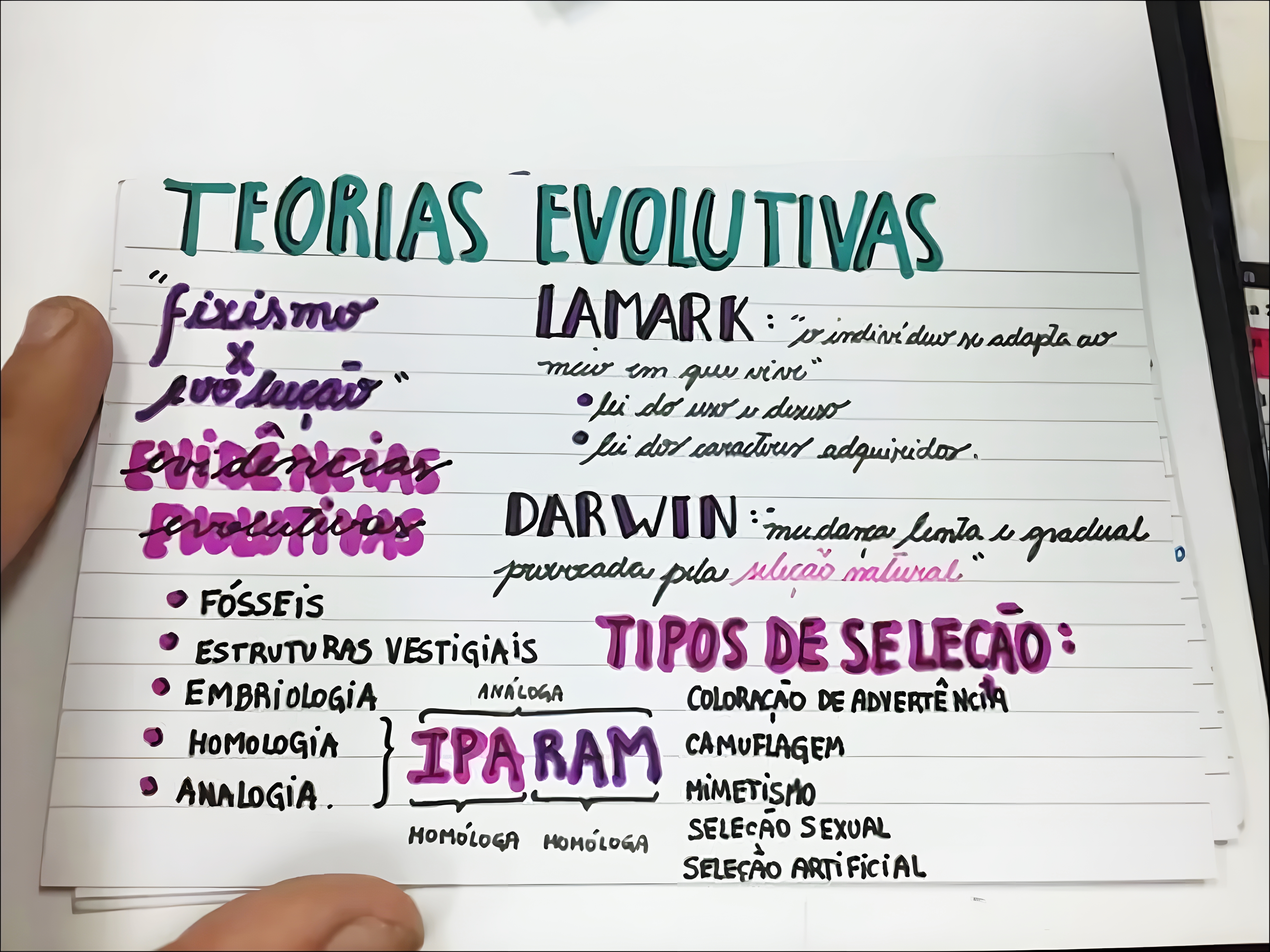 MAPA MENTAL SOBRE TEORIAS EVOLUTIVAS