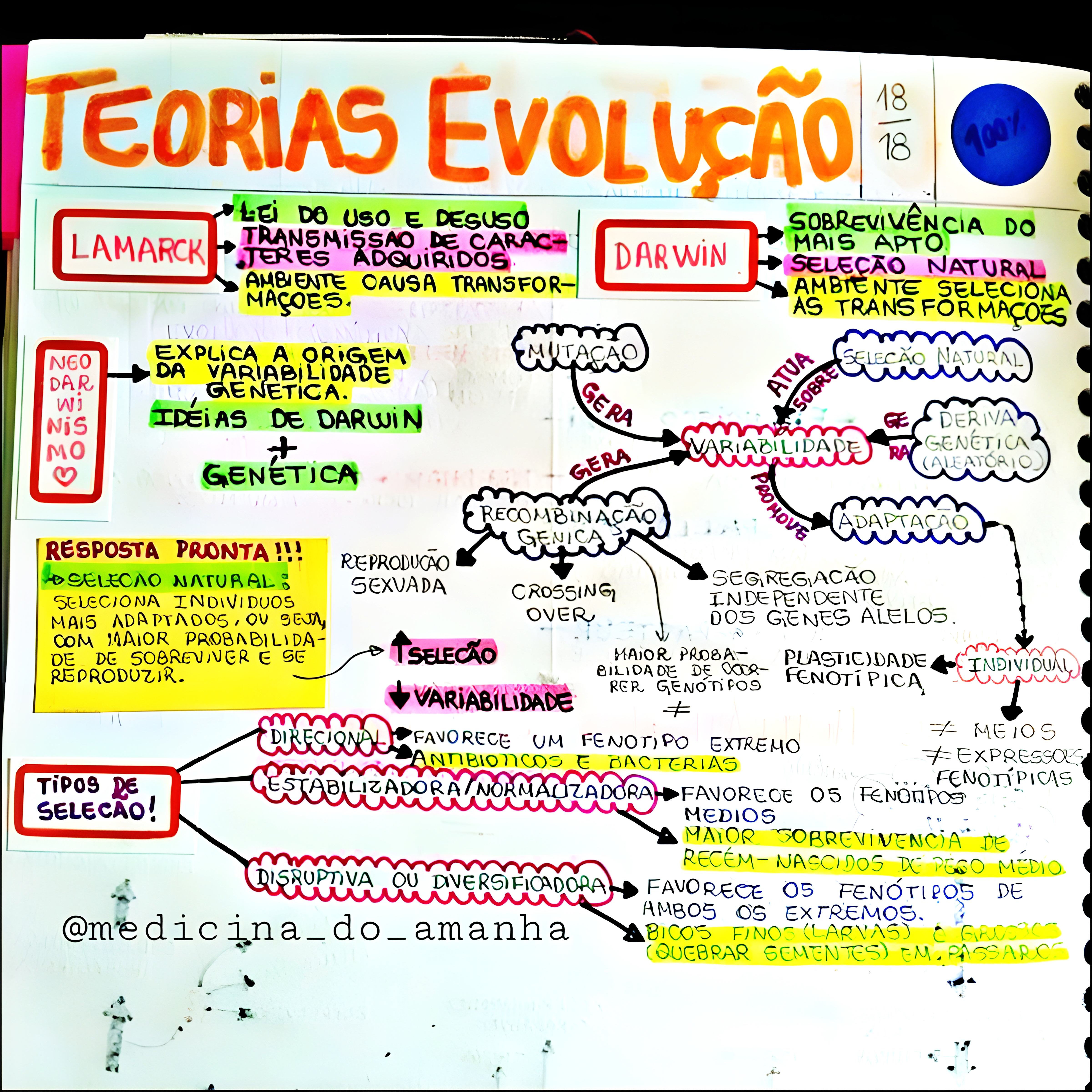 MAPA MENTAL SOBRE TEORIAS EVOLUTIVAS