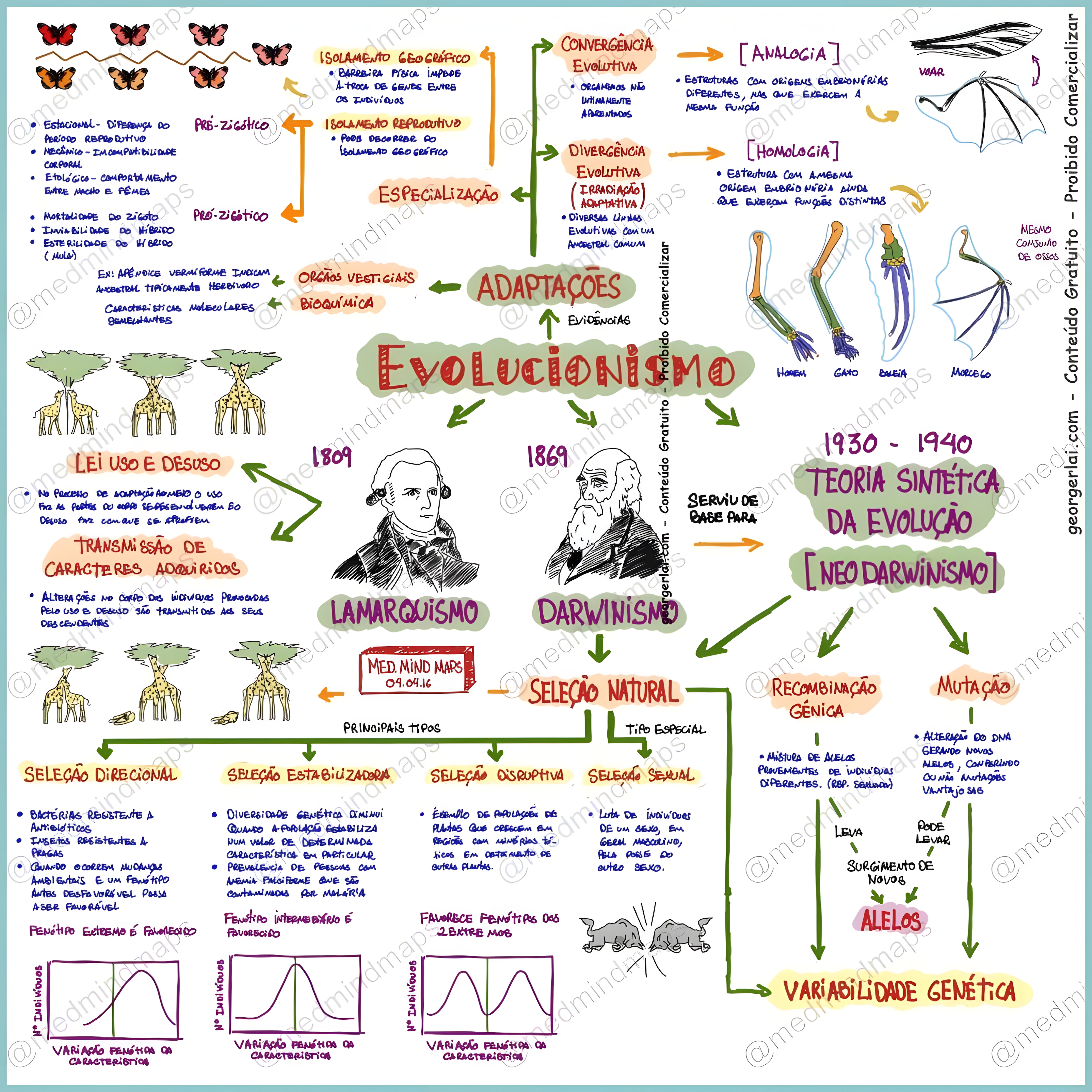 MAPA MENTAL SOBRE TEORIAS EVOLUTIVAS