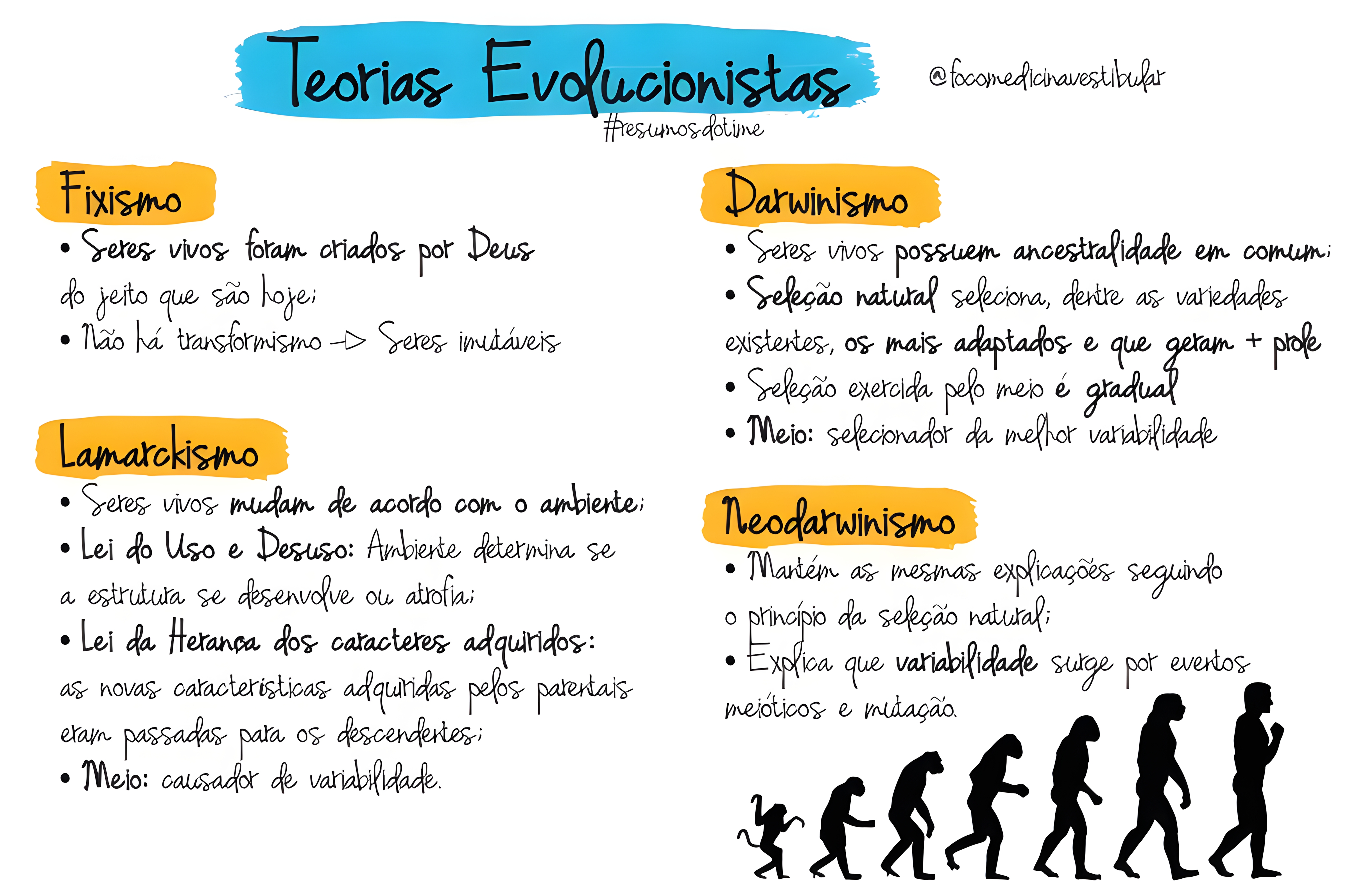 MAPA MENTAL SOBRE TEORIAS EVOLUTIVAS