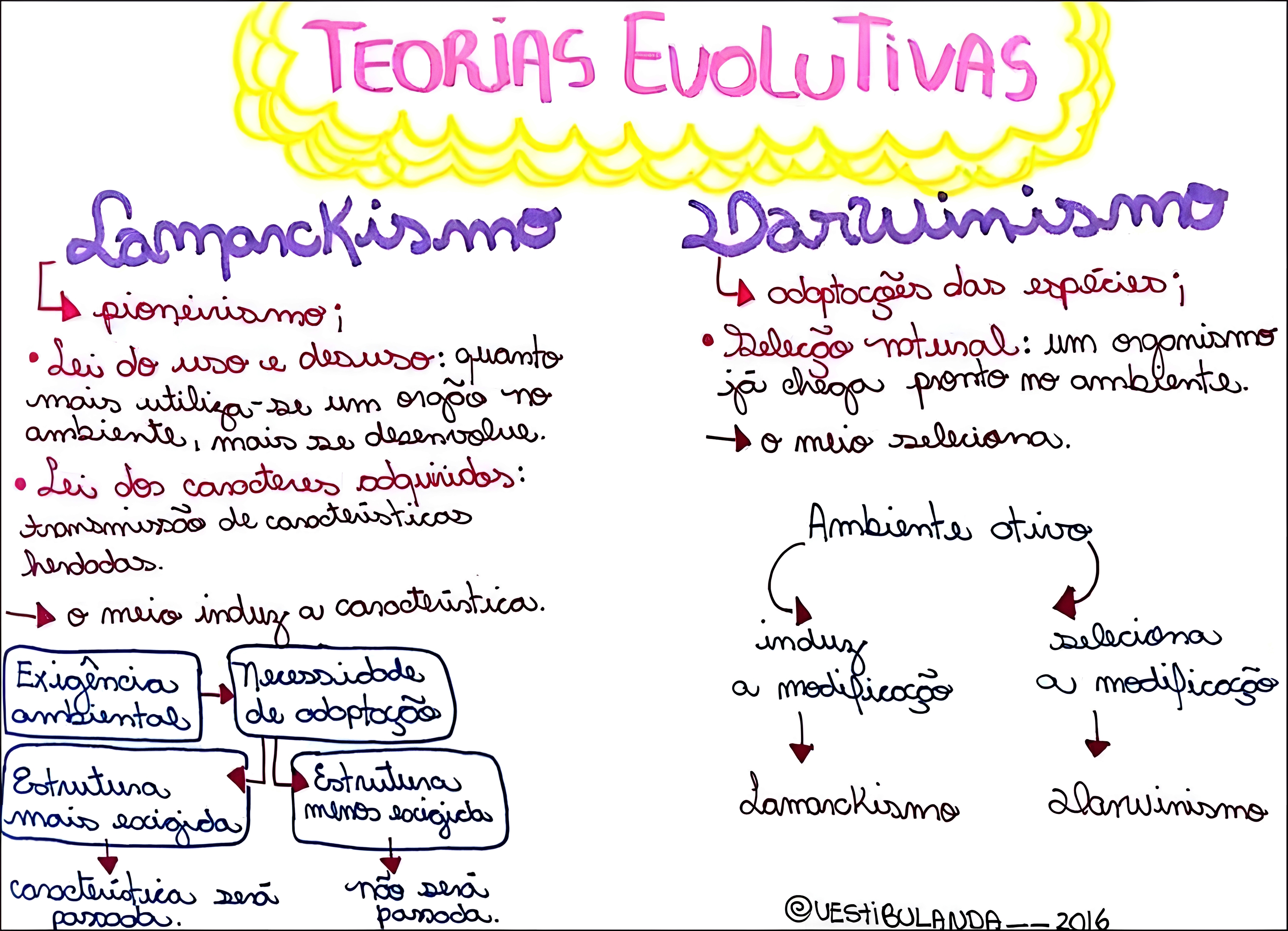 MAPA MENTAL SOBRE TEORIAS EVOLUTIVAS