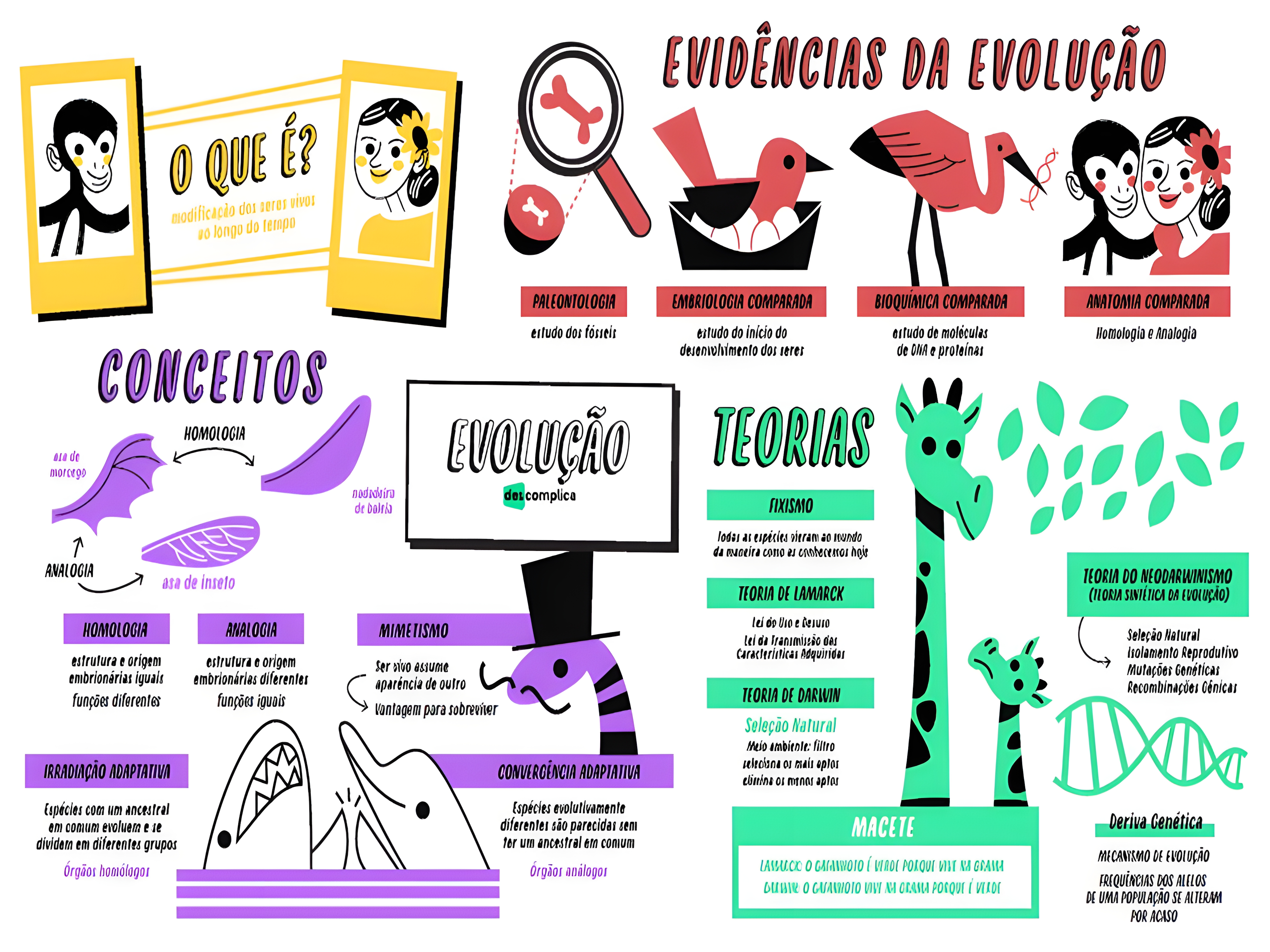 MAPA MENTAL SOBRE TEORIAS EVOLUTIVAS