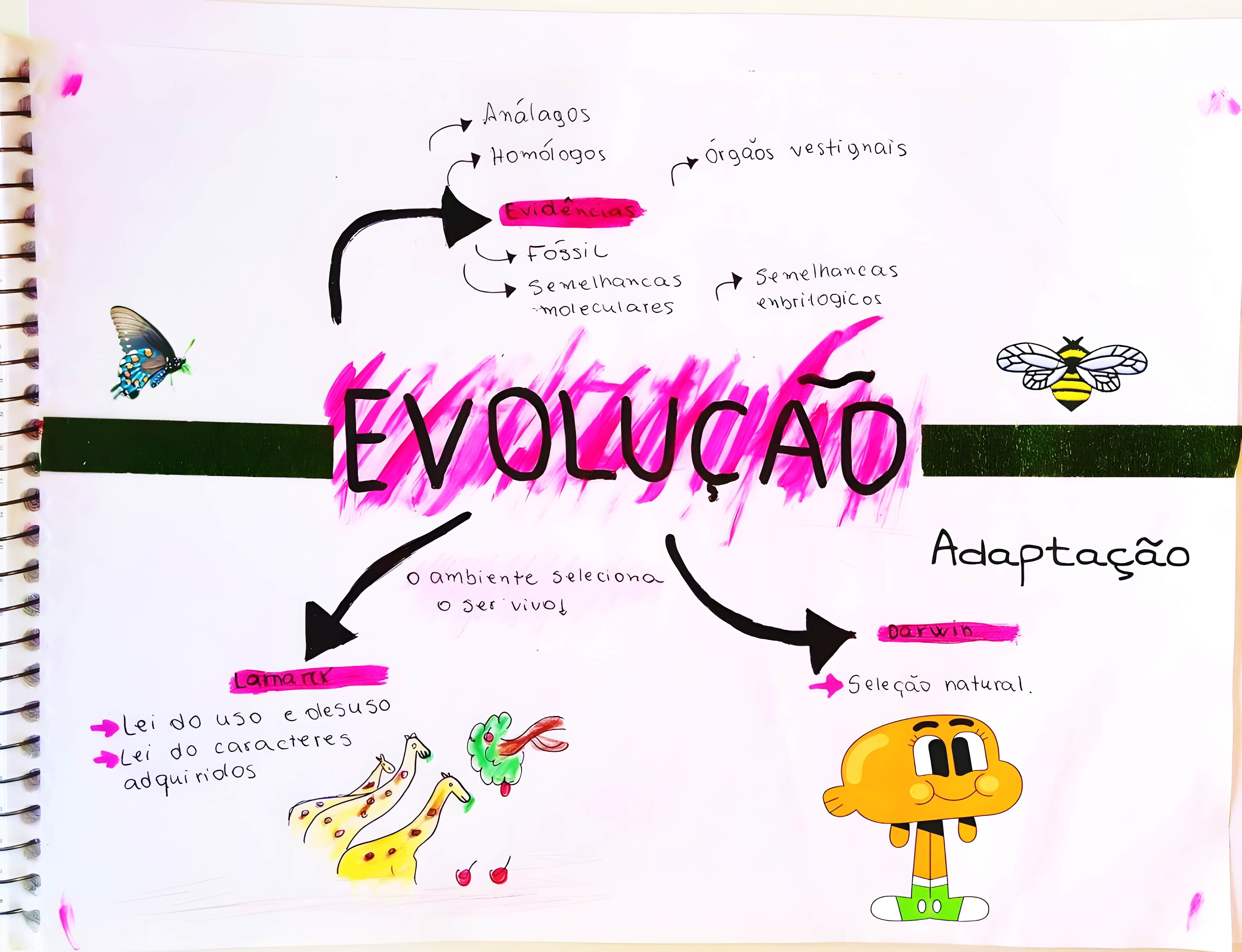 MAPA MENTAL SOBRE TEORIAS EVOLUTIVAS