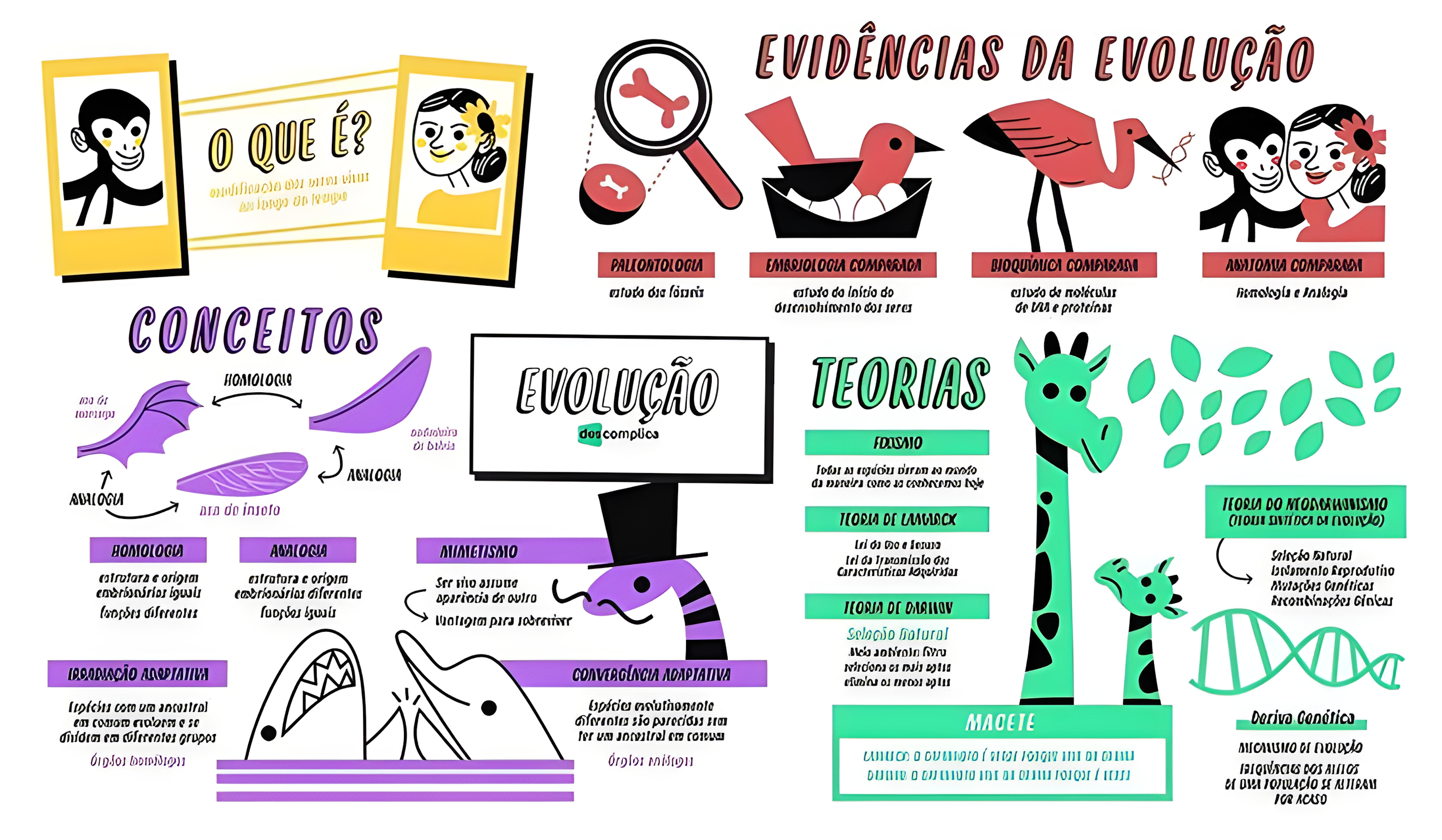 MAPA MENTAL SOBRE TEORIAS EVOLUTIVAS