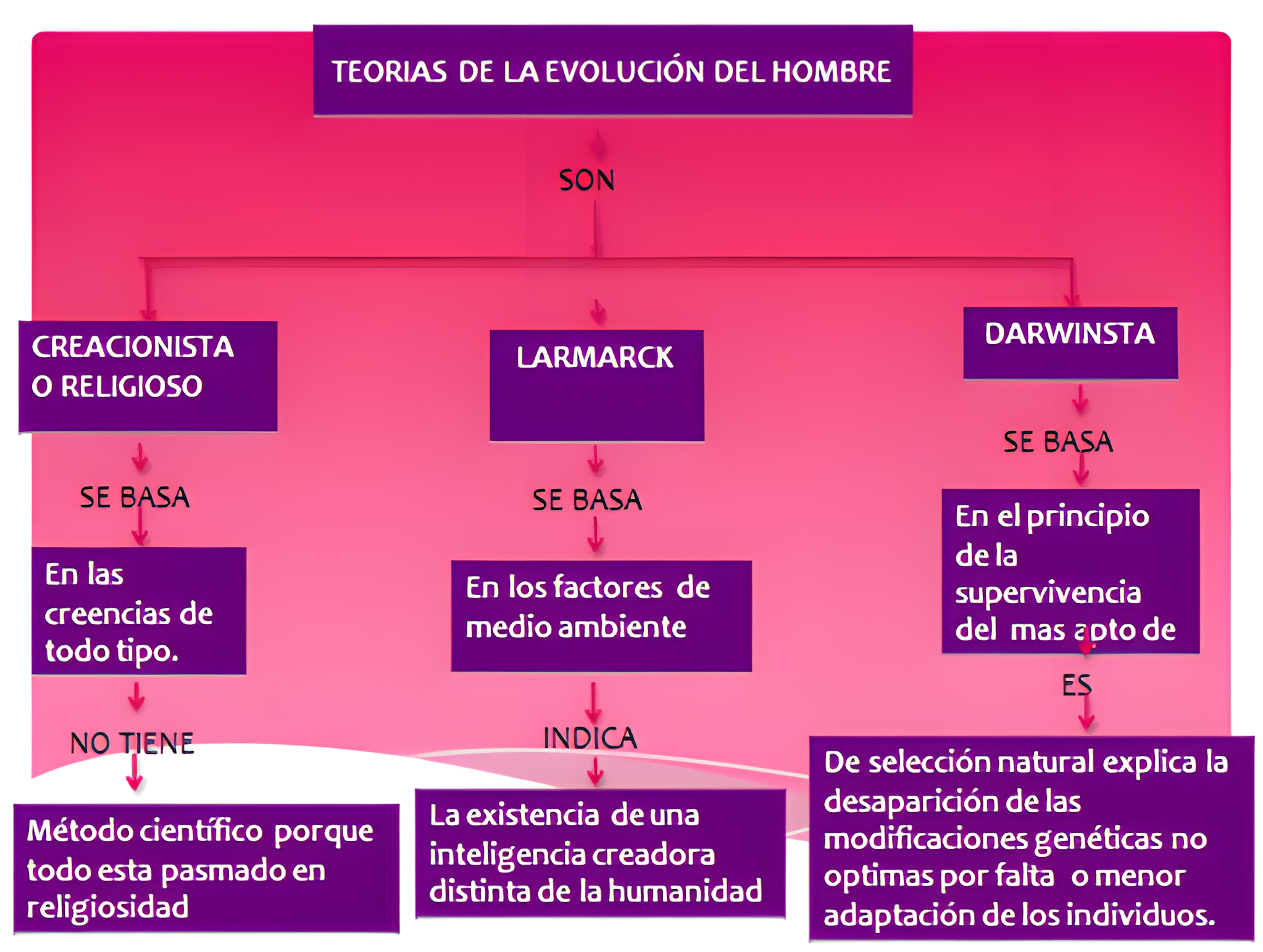 MAPA MENTAL SOBRE TEORIAS EVOLUTIVAS