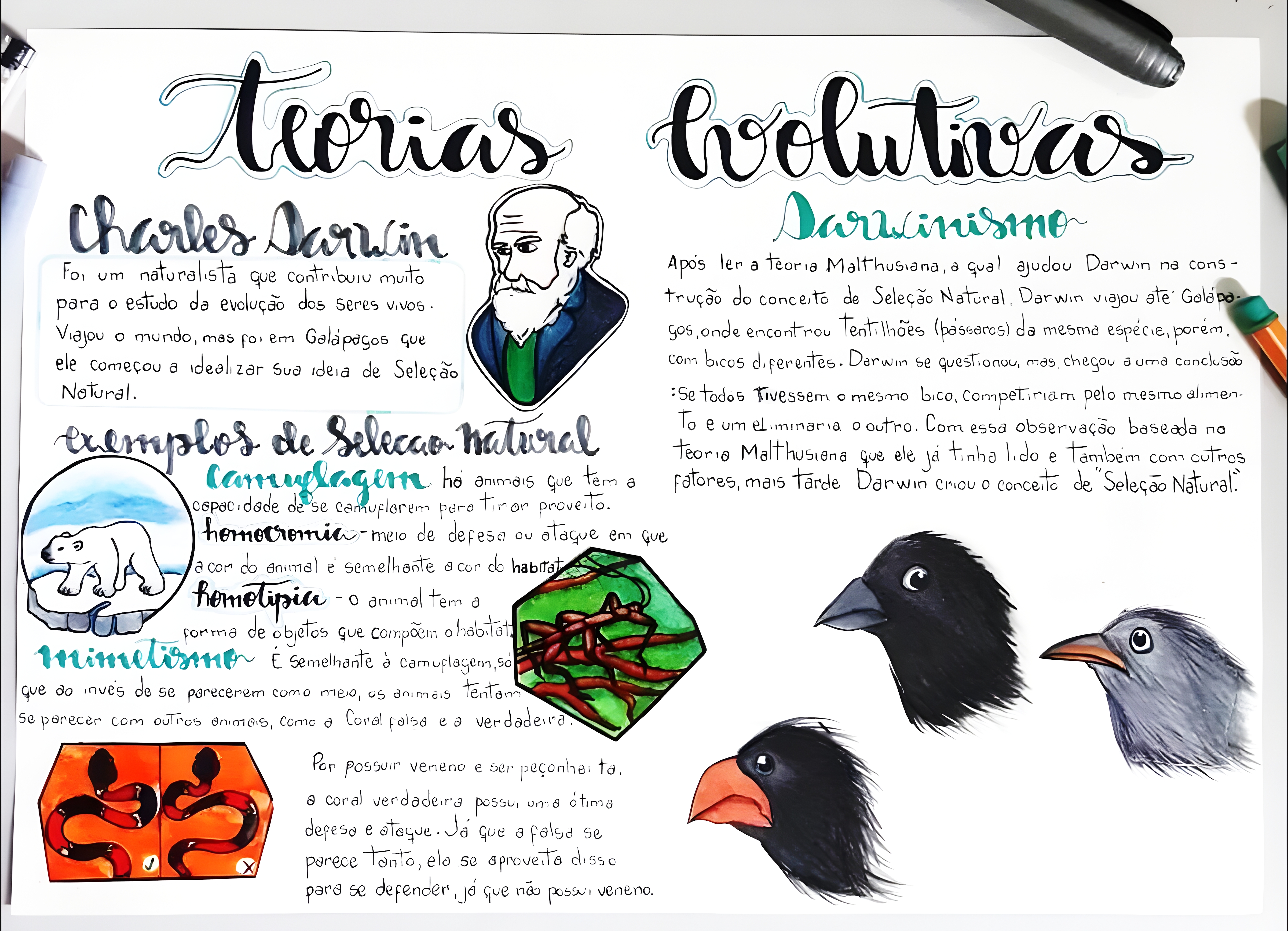 MAPA MENTAL SOBRE TEORIAS EVOLUTIVAS