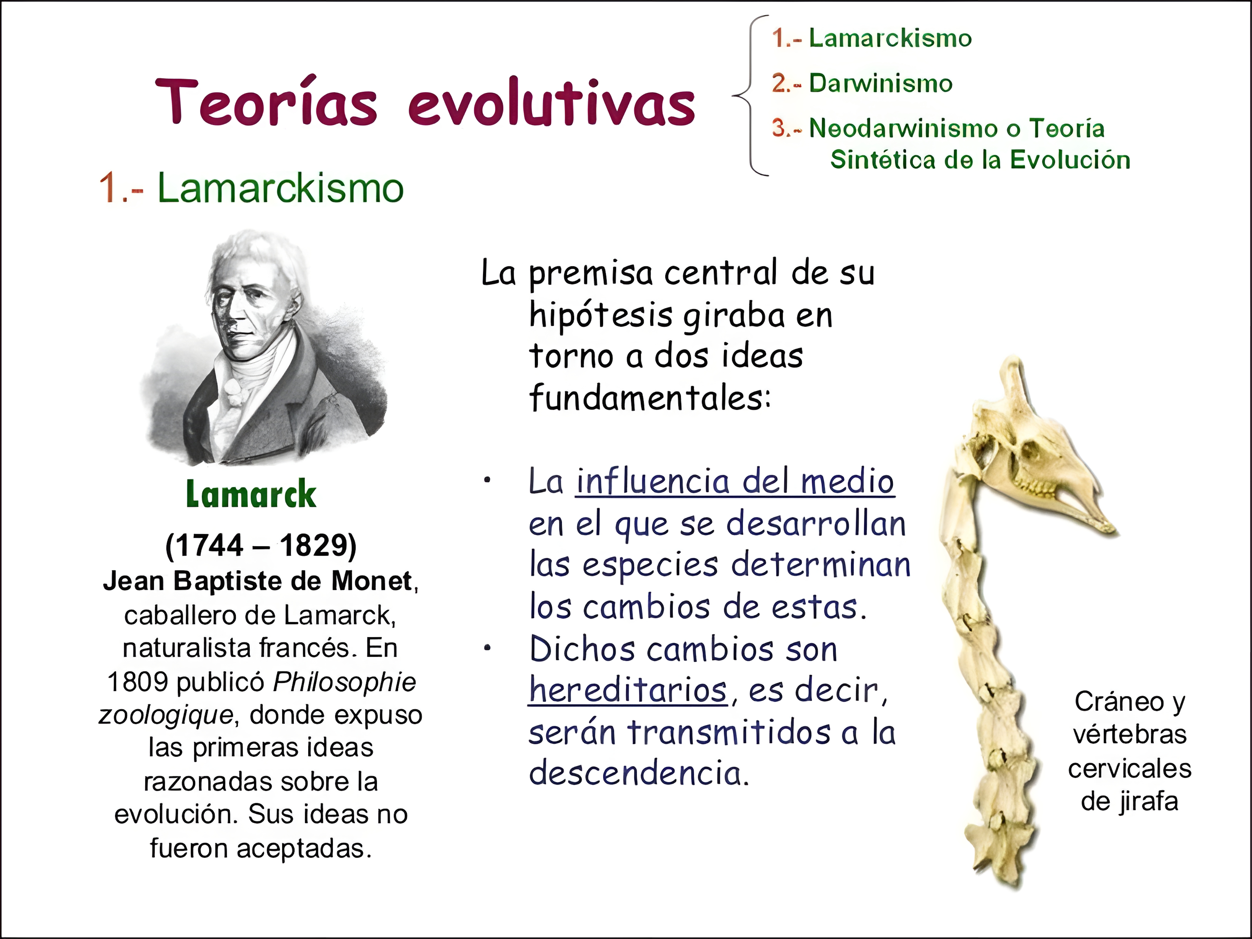 MAPA MENTAL SOBRE TEORIAS EVOLUTIVAS