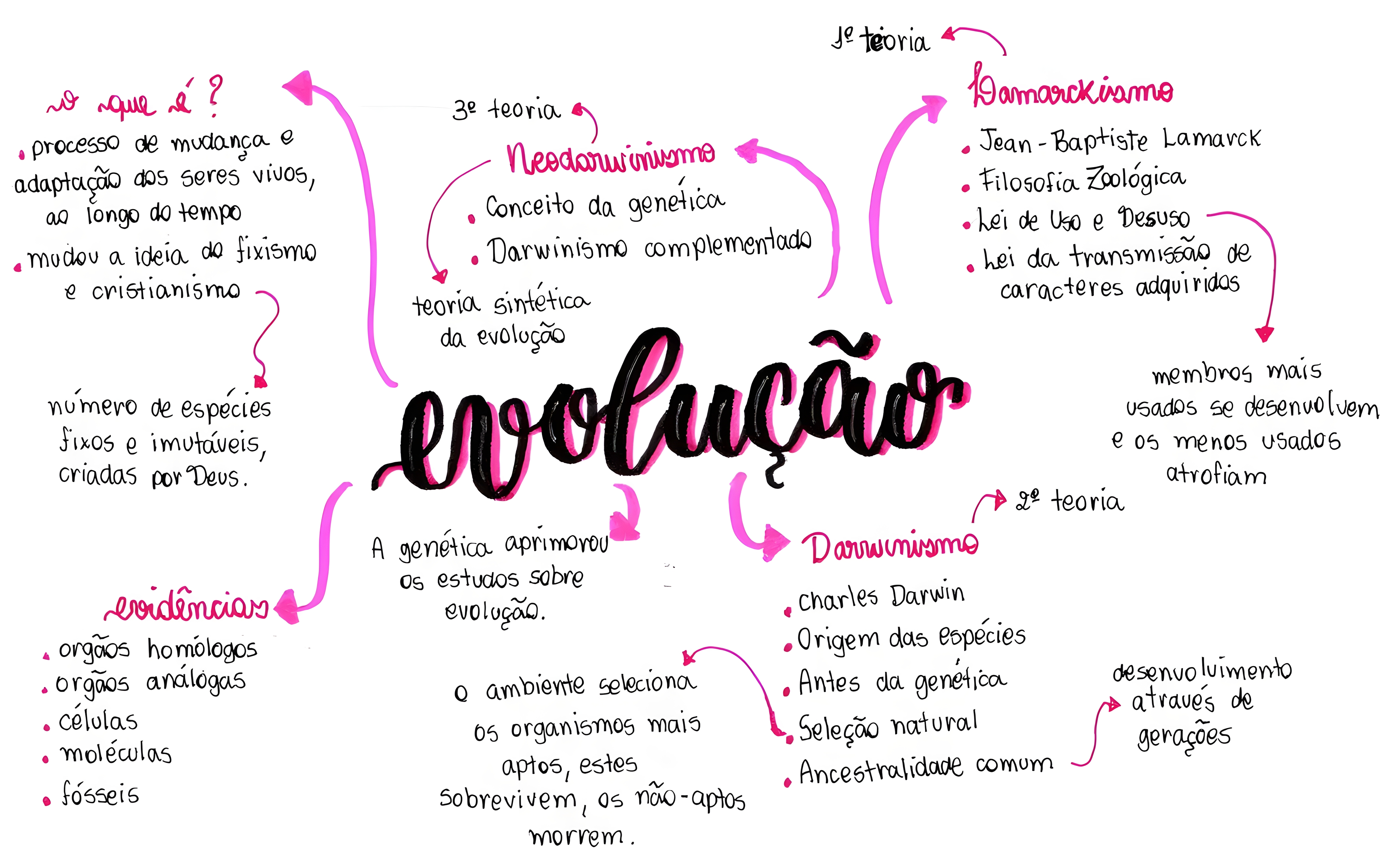 MAPA MENTAL SOBRE TEORIAS EVOLUTIVAS