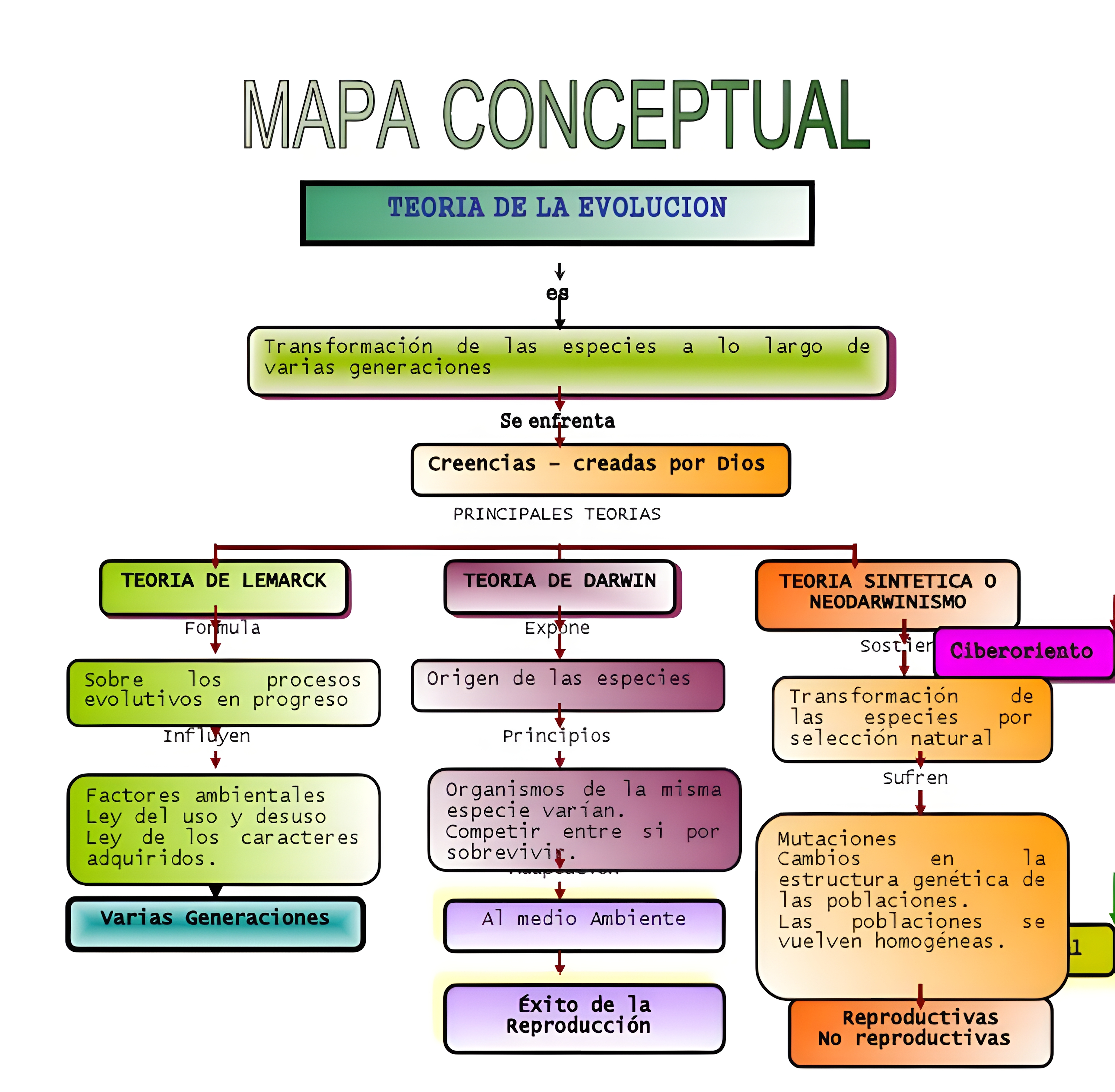 MAPA MENTAL SOBRE TEORIAS EVOLUTIVAS