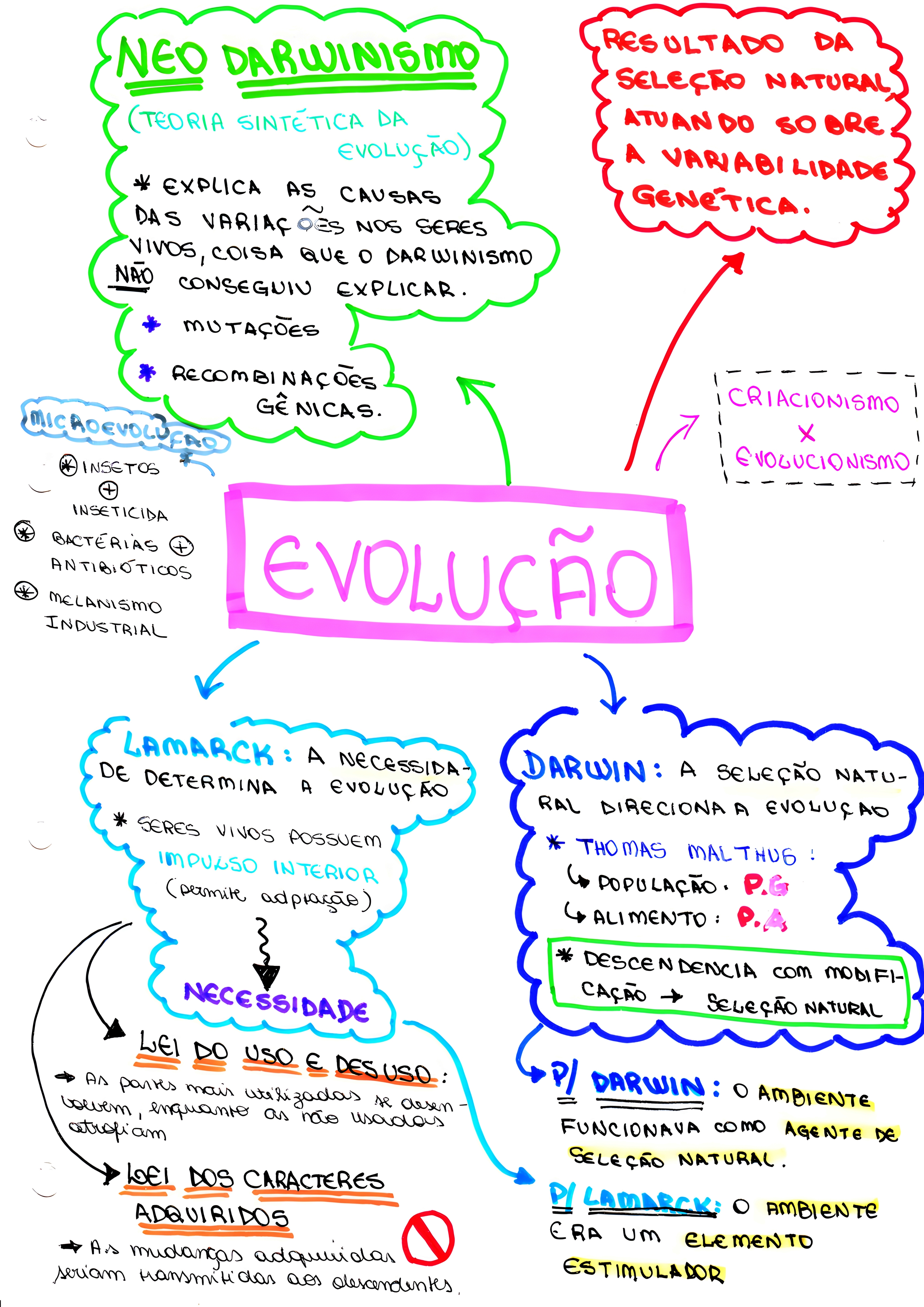 MAPA MENTAL SOBRE TEORIAS EVOLUTIVAS