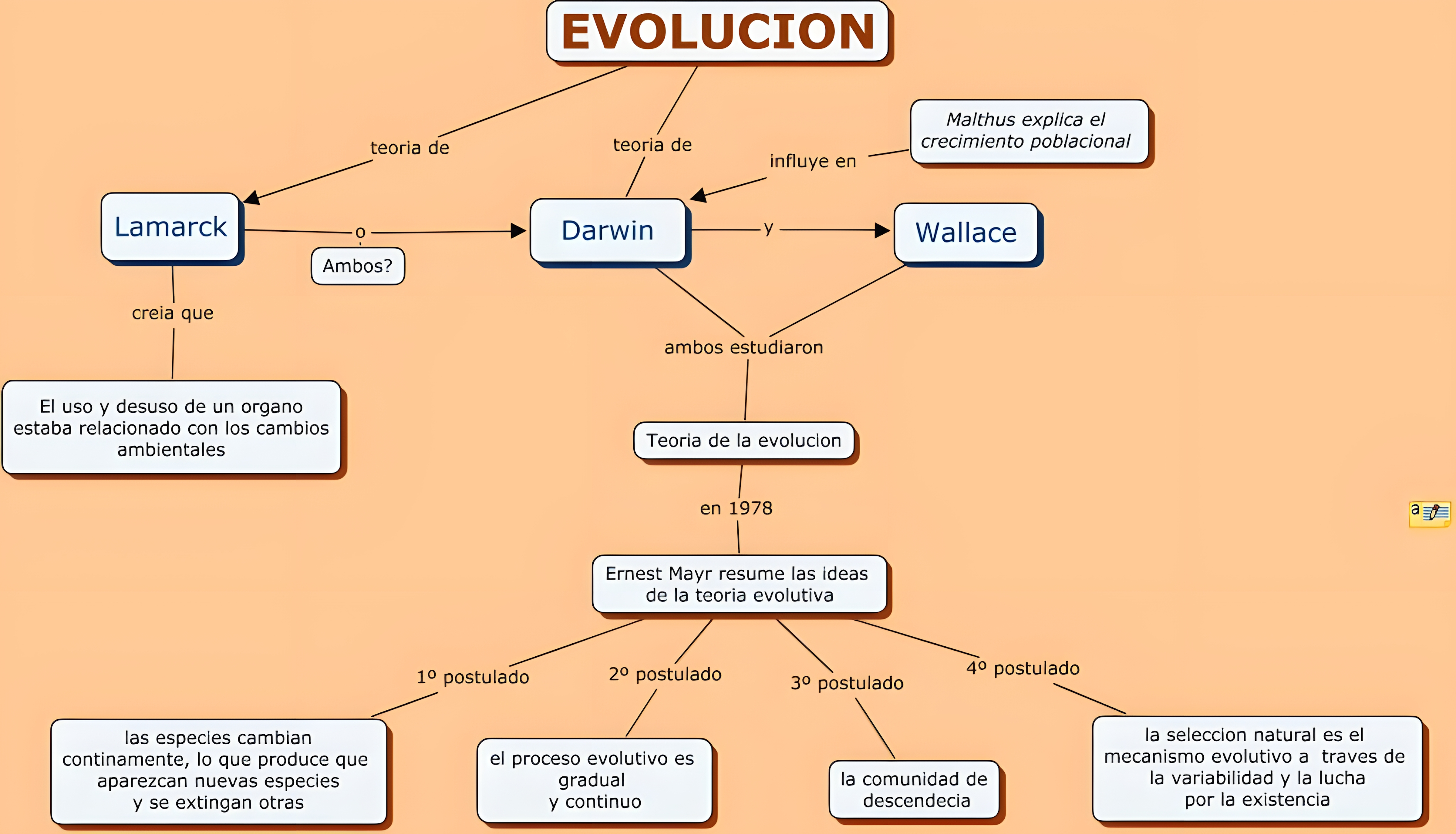 MAPA MENTAL SOBRE TEORIAS EVOLUTIVAS