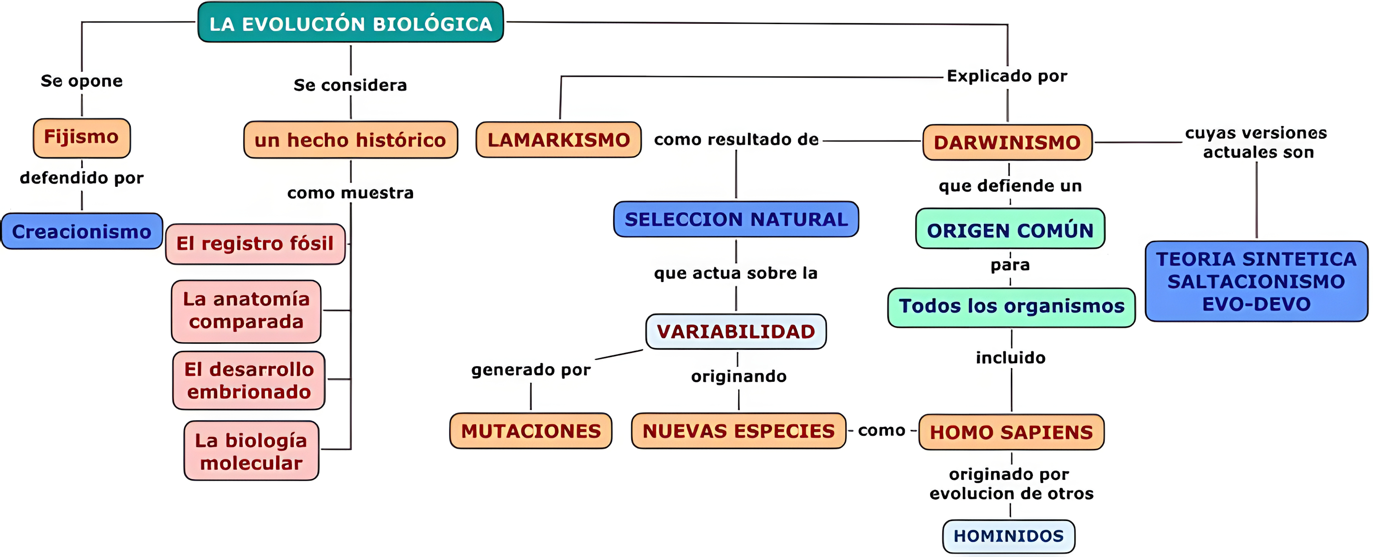 MAPA MENTAL SOBRE TEORIAS EVOLUTIVAS