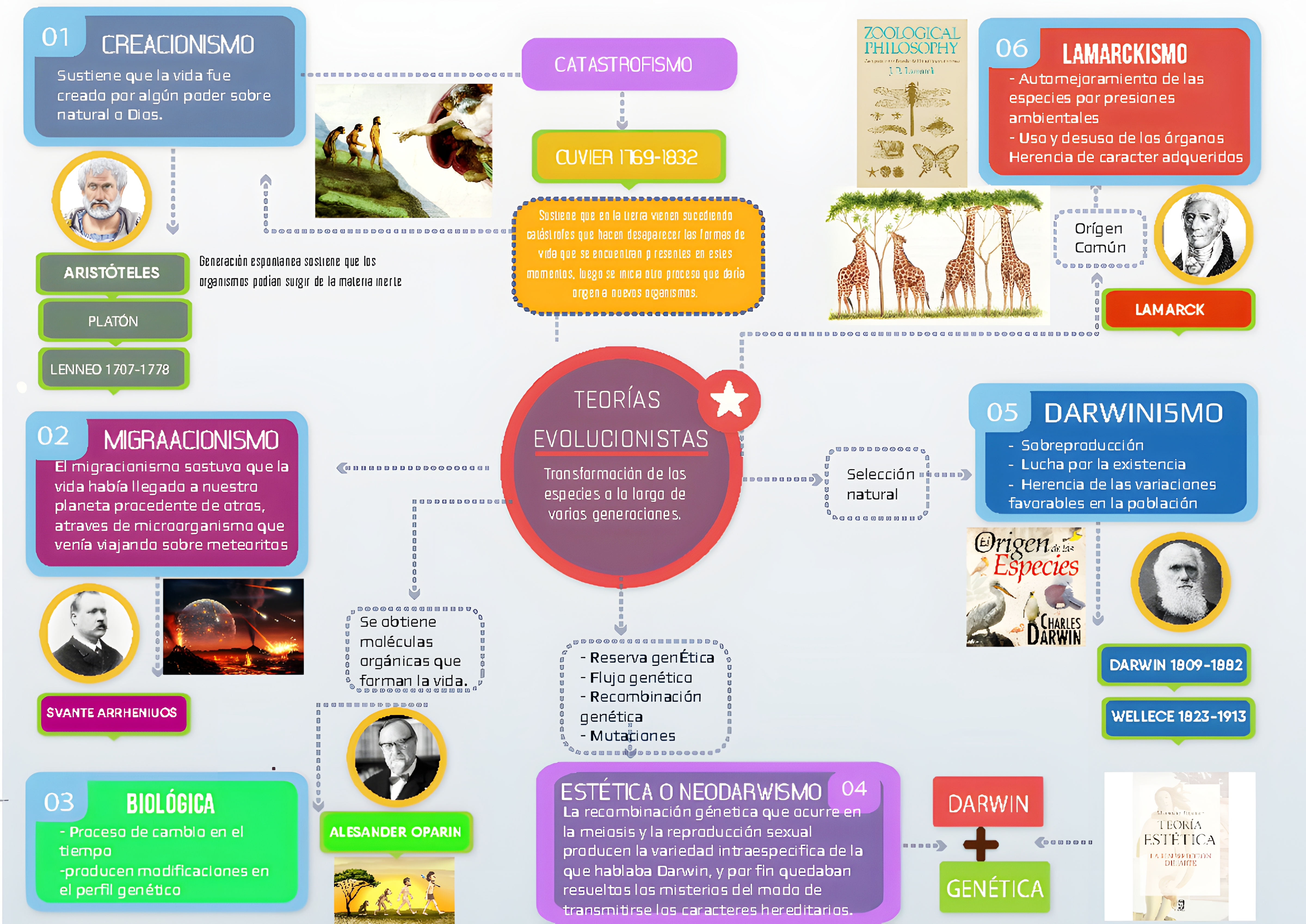 MAPA MENTAL SOBRE TEORIAS EVOLUTIVAS