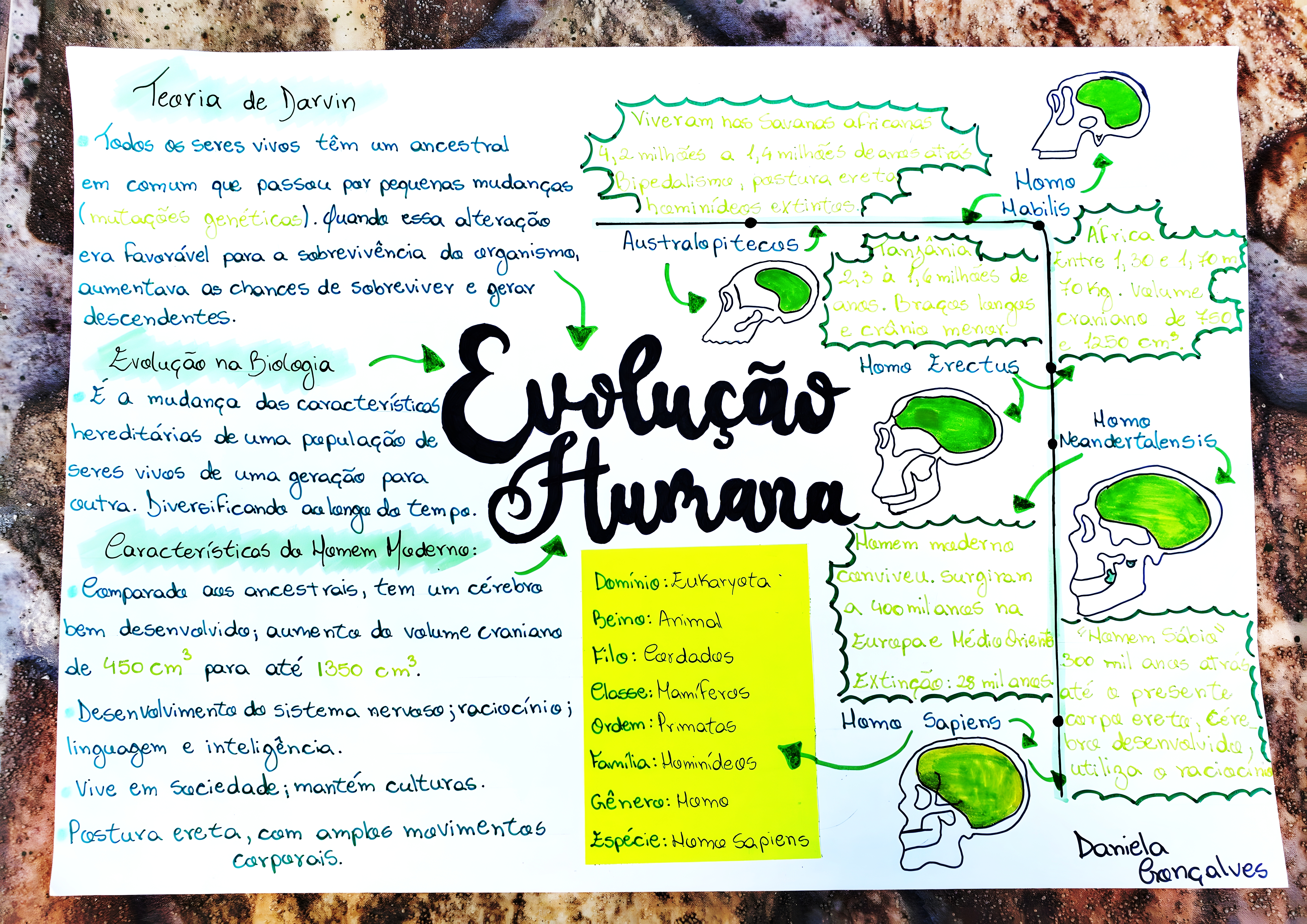 MAPA MENTAL SOBRE TEORIAS EVOLUTIVAS