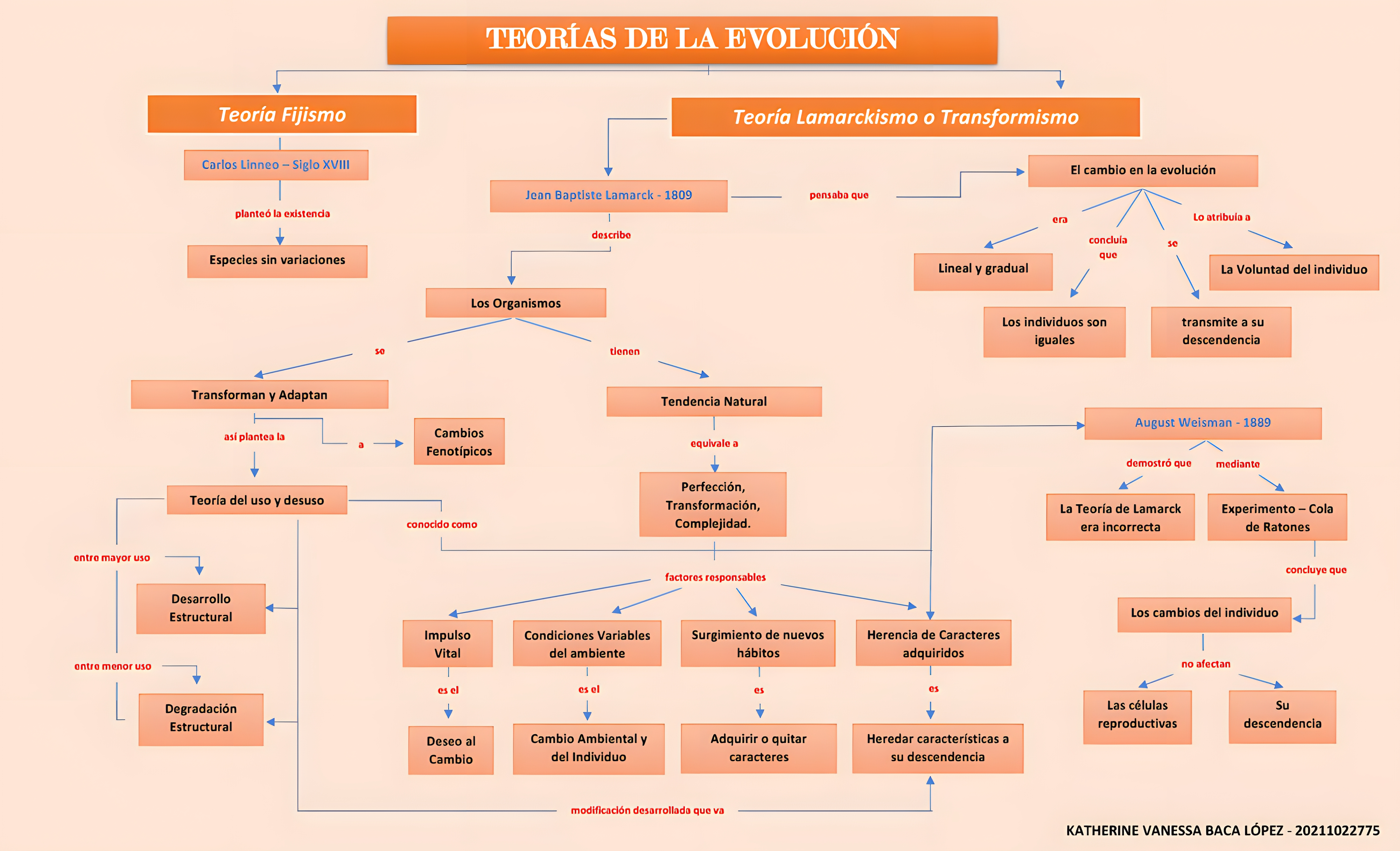 MAPA MENTAL SOBRE TEORIAS EVOLUTIVAS