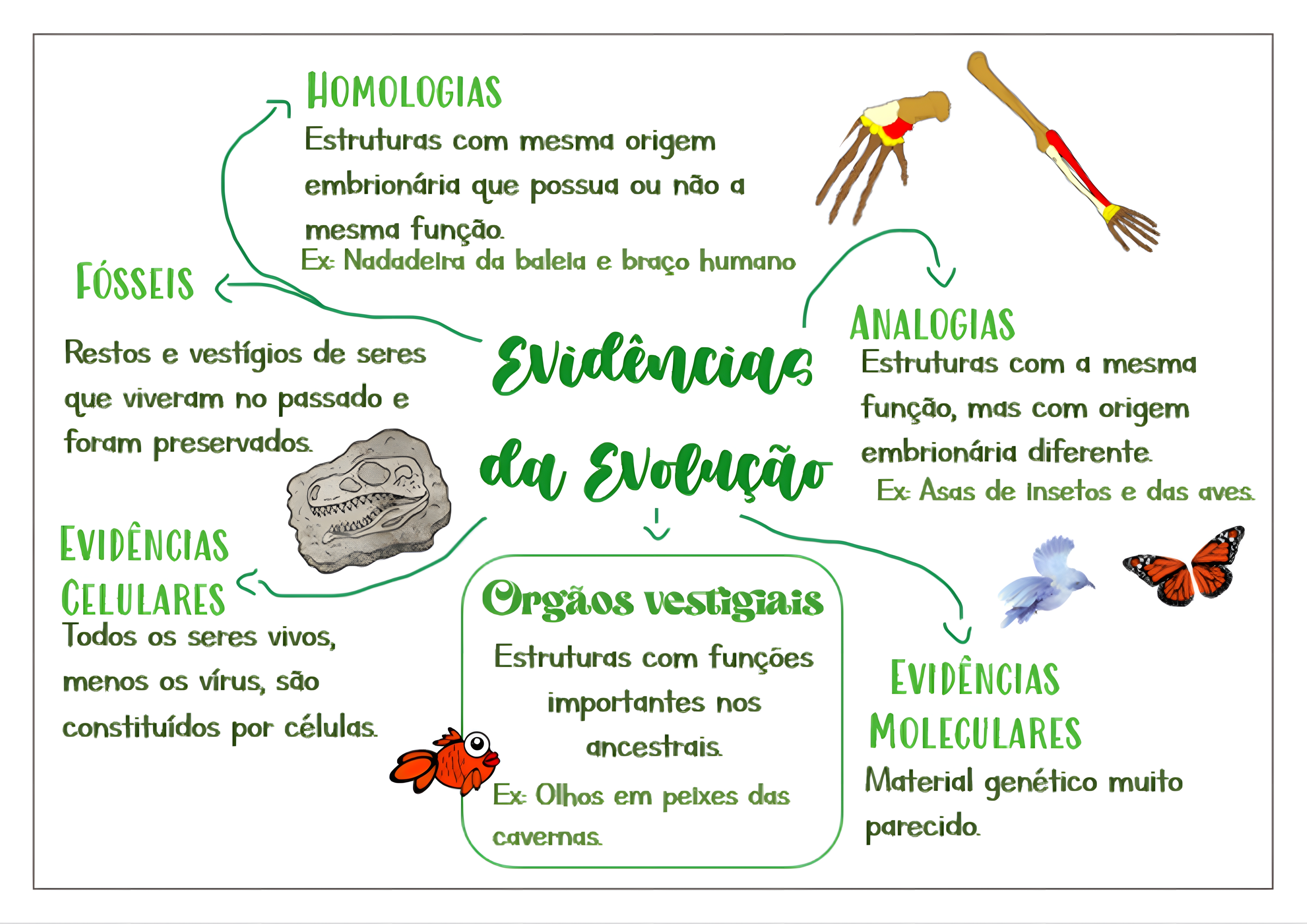MAPA MENTAL SOBRE TEORIAS EVOLUTIVAS