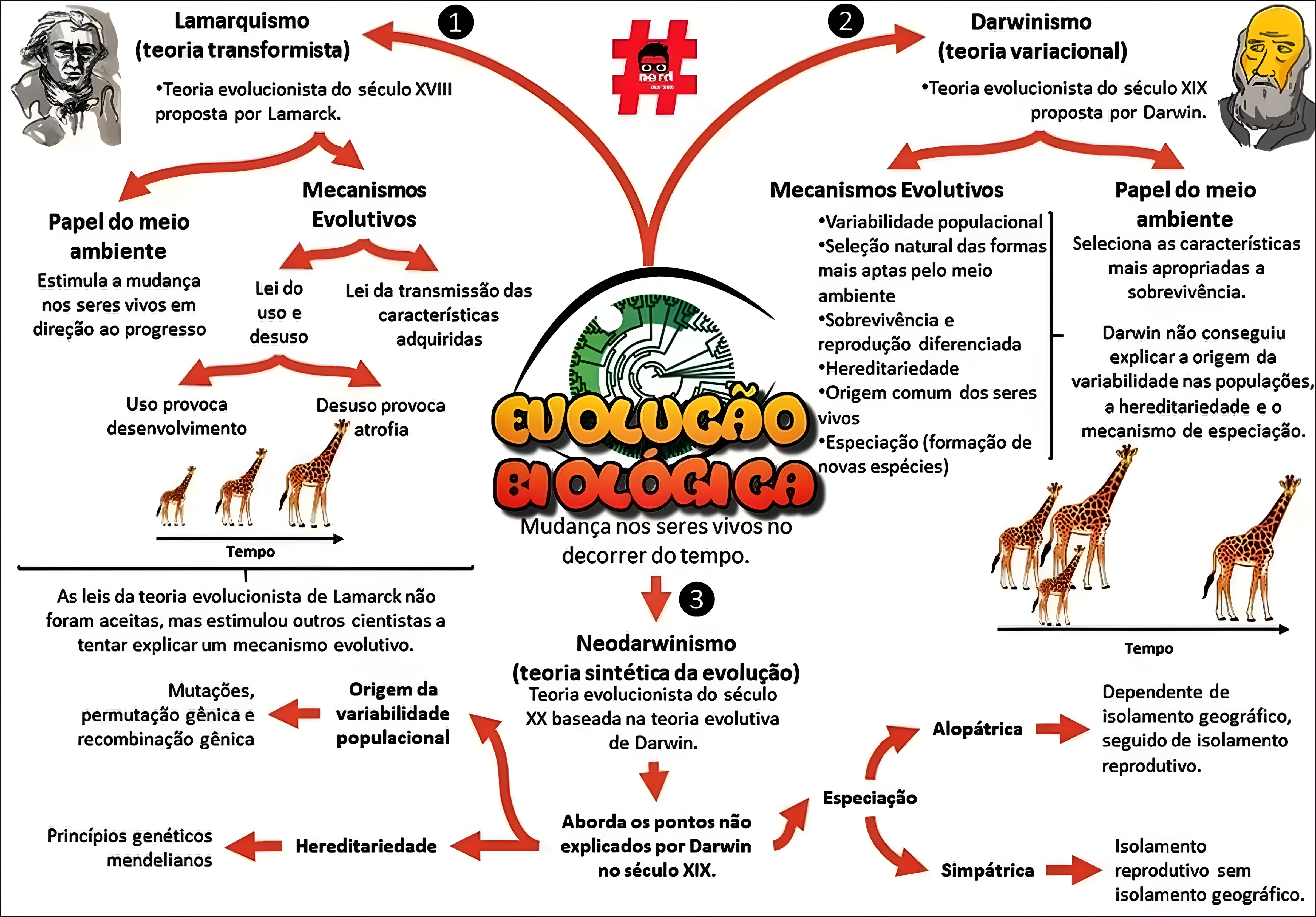 MAPA MENTAL SOBRE TEORIAS EVOLUTIVAS