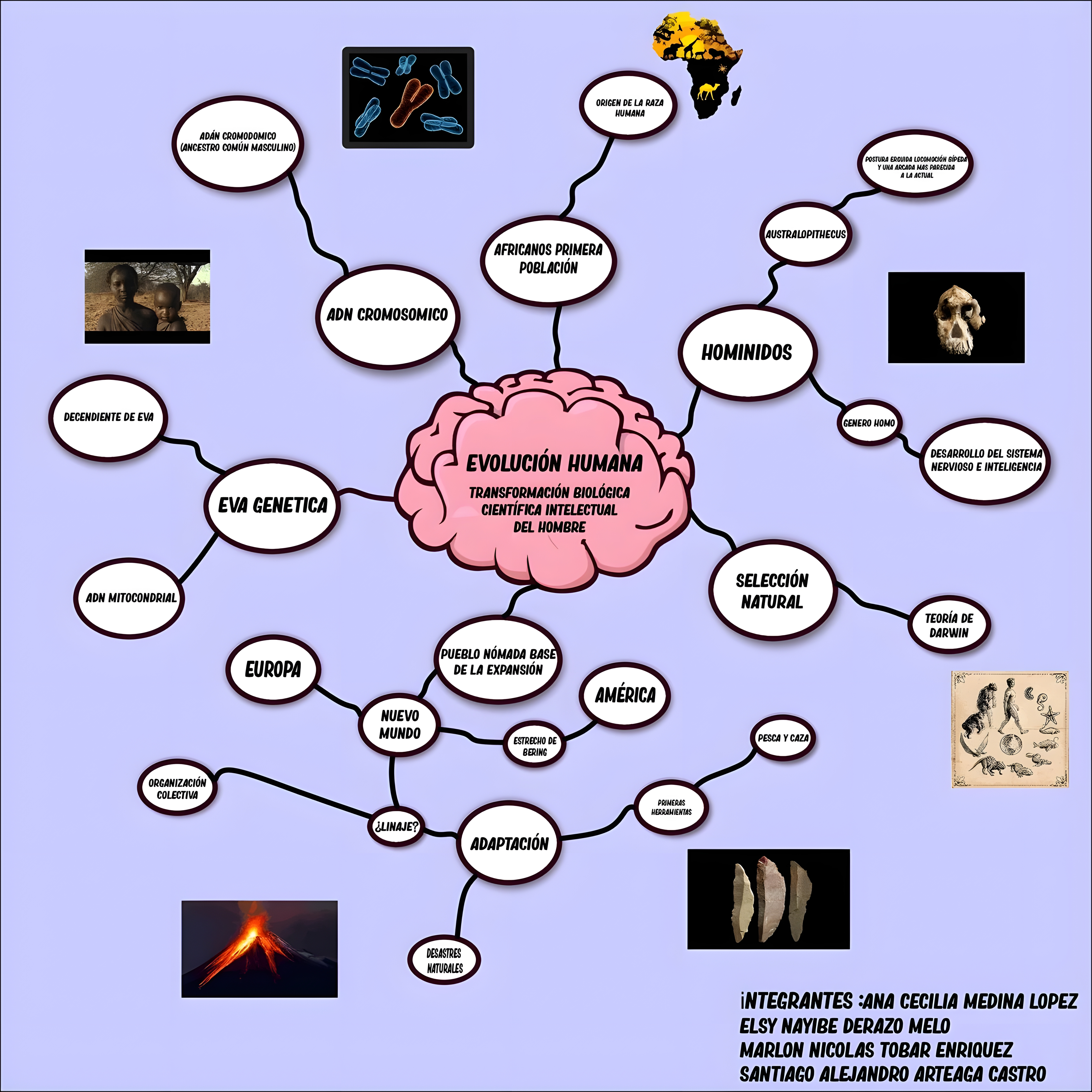 MAPA MENTAL SOBRE TEORIAS EVOLUTIVAS