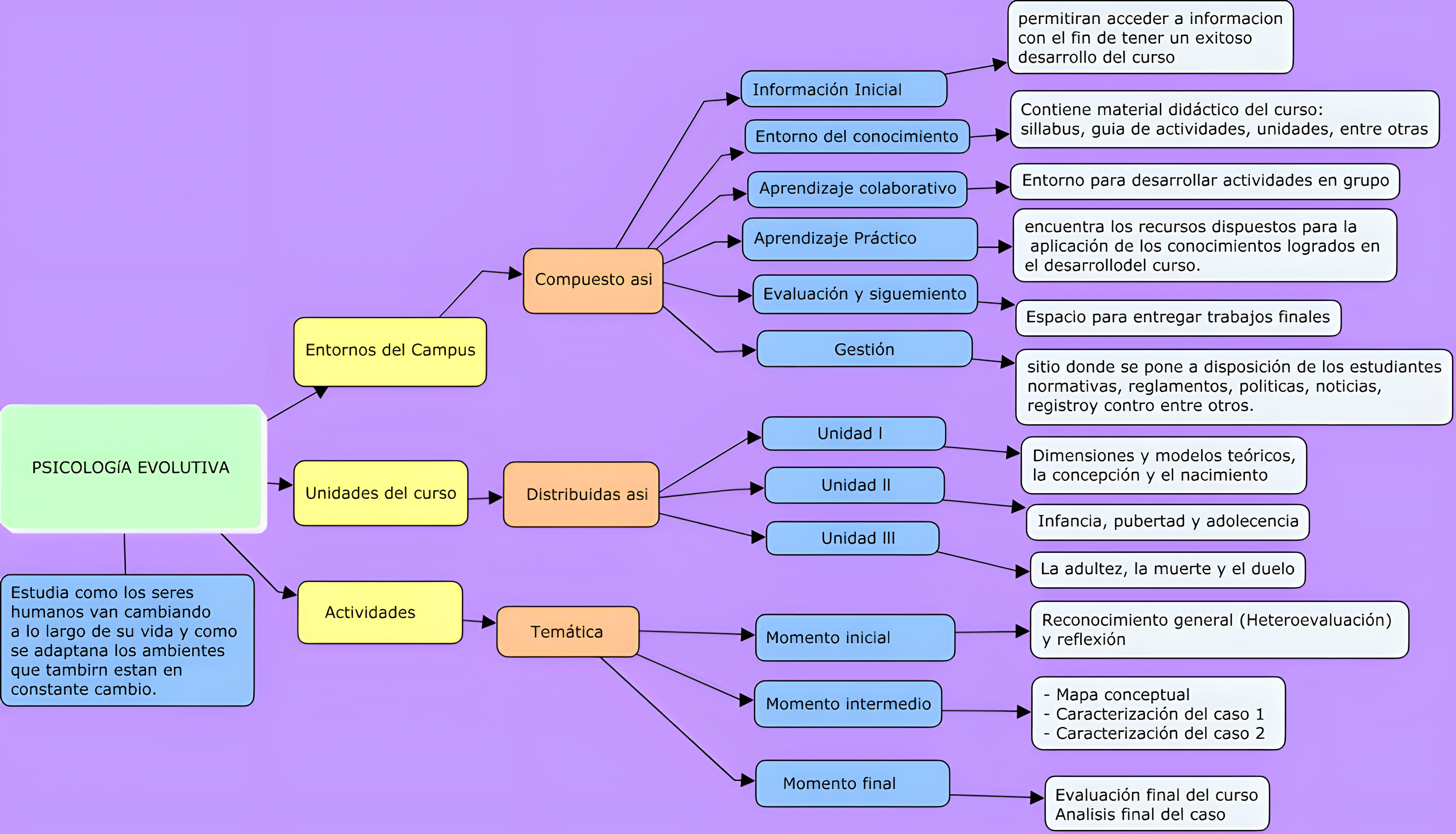 MAPA MENTAL SOBRE TEORIAS EVOLUTIVAS