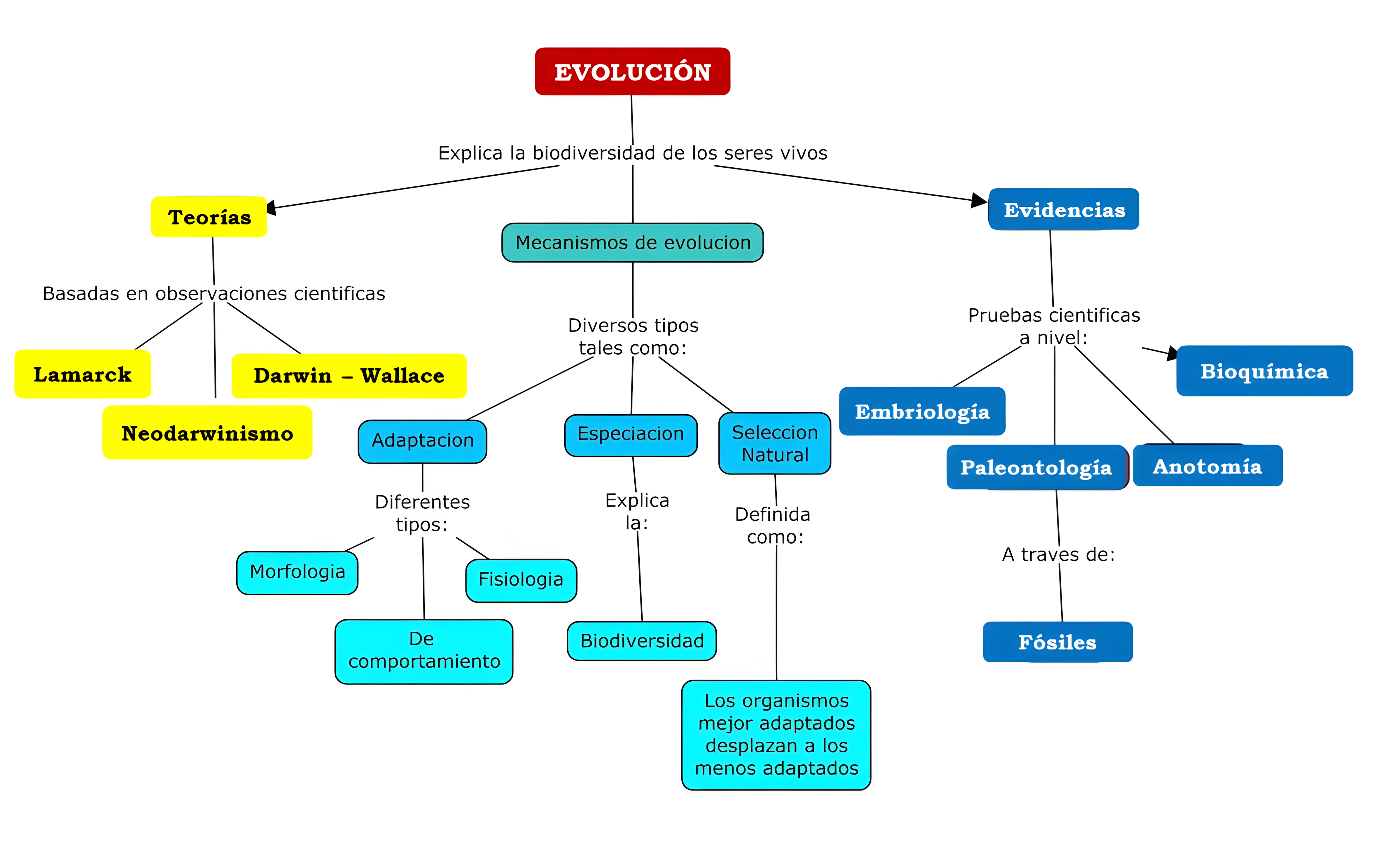 MAPA MENTAL SOBRE TEORIAS EVOLUTIVAS