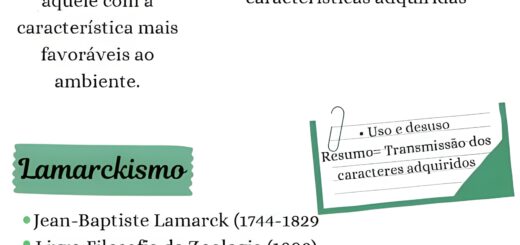MAPA MENTAL SOBRE TEORIAS EVOLUTIVAS
