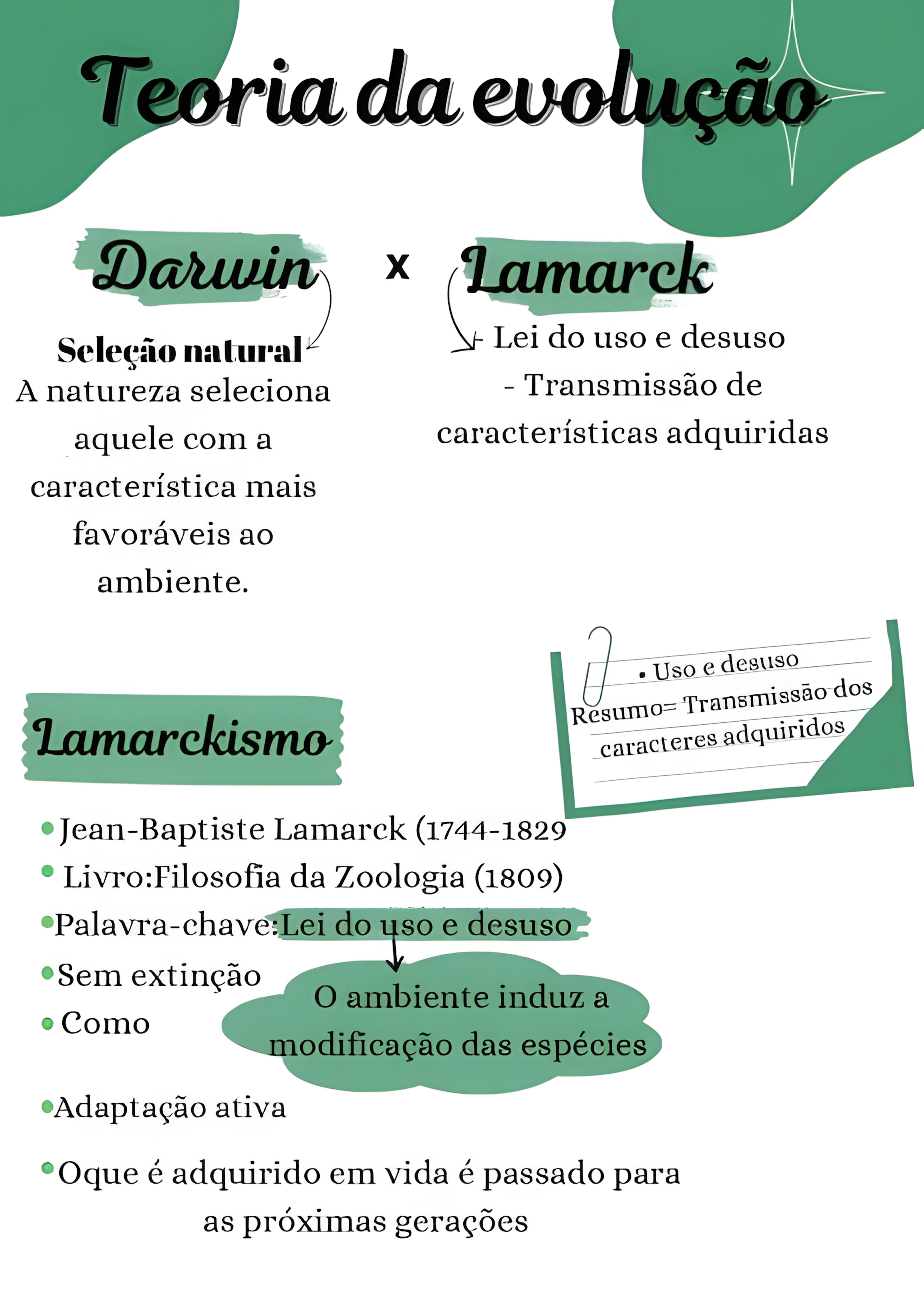 MAPA MENTAL SOBRE TEORIAS EVOLUTIVAS