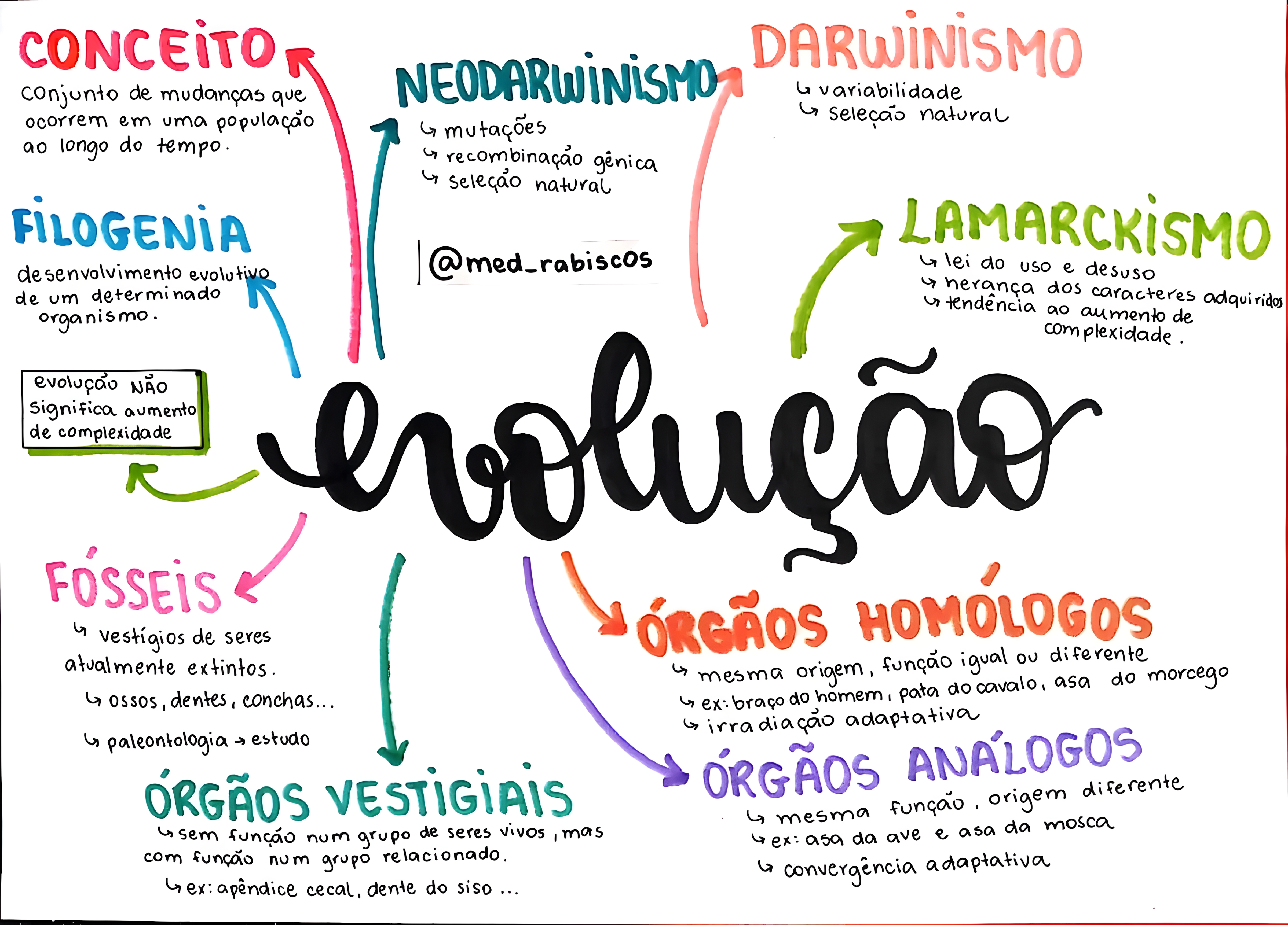 MAPA MENTAL SOBRE TEORIAS EVOLUTIVAS