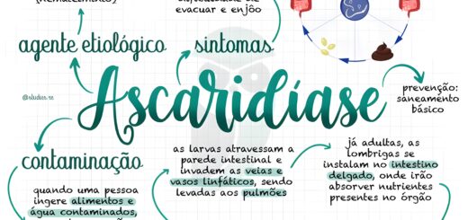 MAPA MENTAL SOBRE ASCARIDIASE