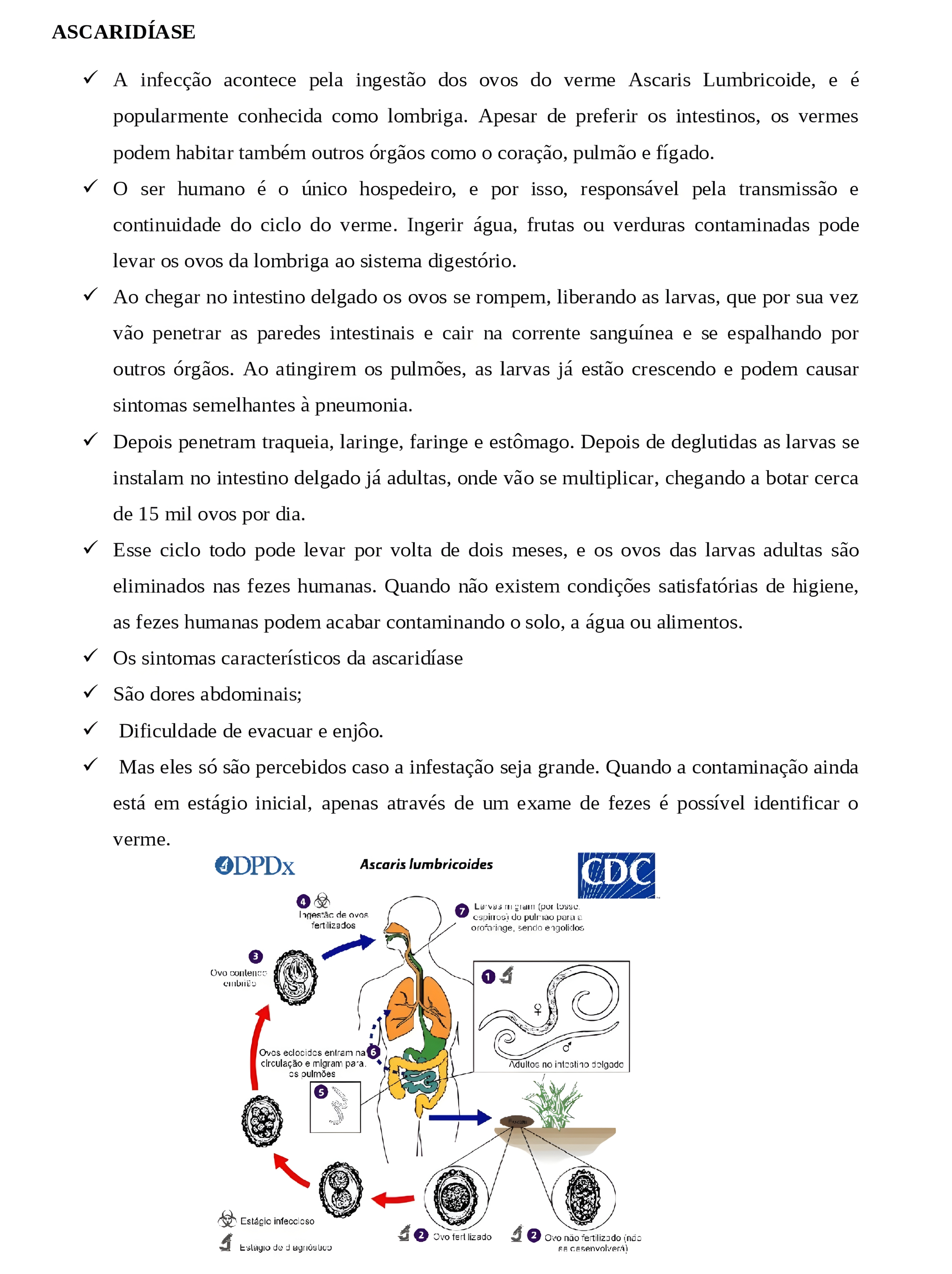 MAPA MENTAL SOBRE ASCARIDIASE