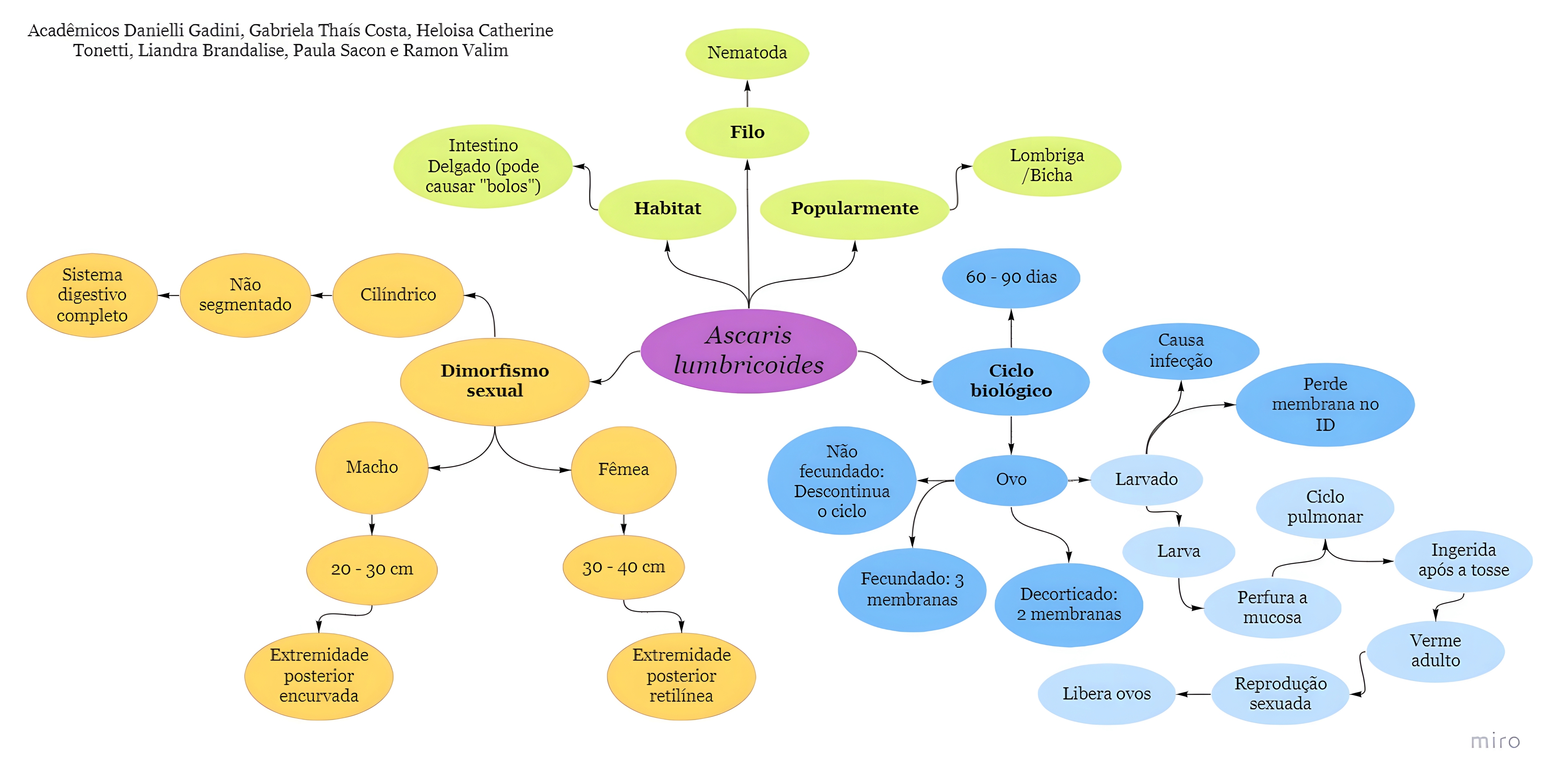 MAPA MENTAL SOBRE ASCARIDIASE