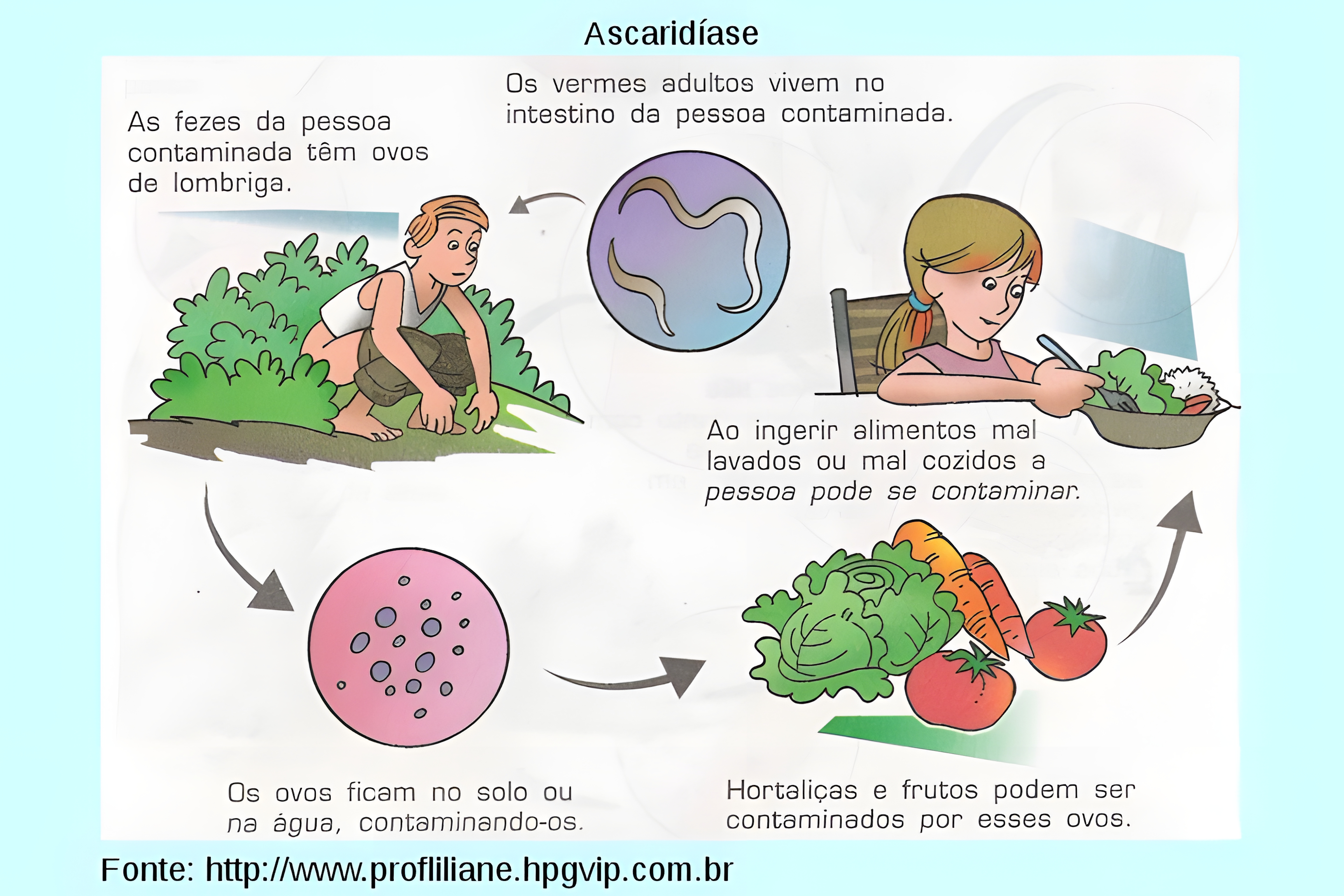 MAPA MENTAL SOBRE ASCARIDIASE