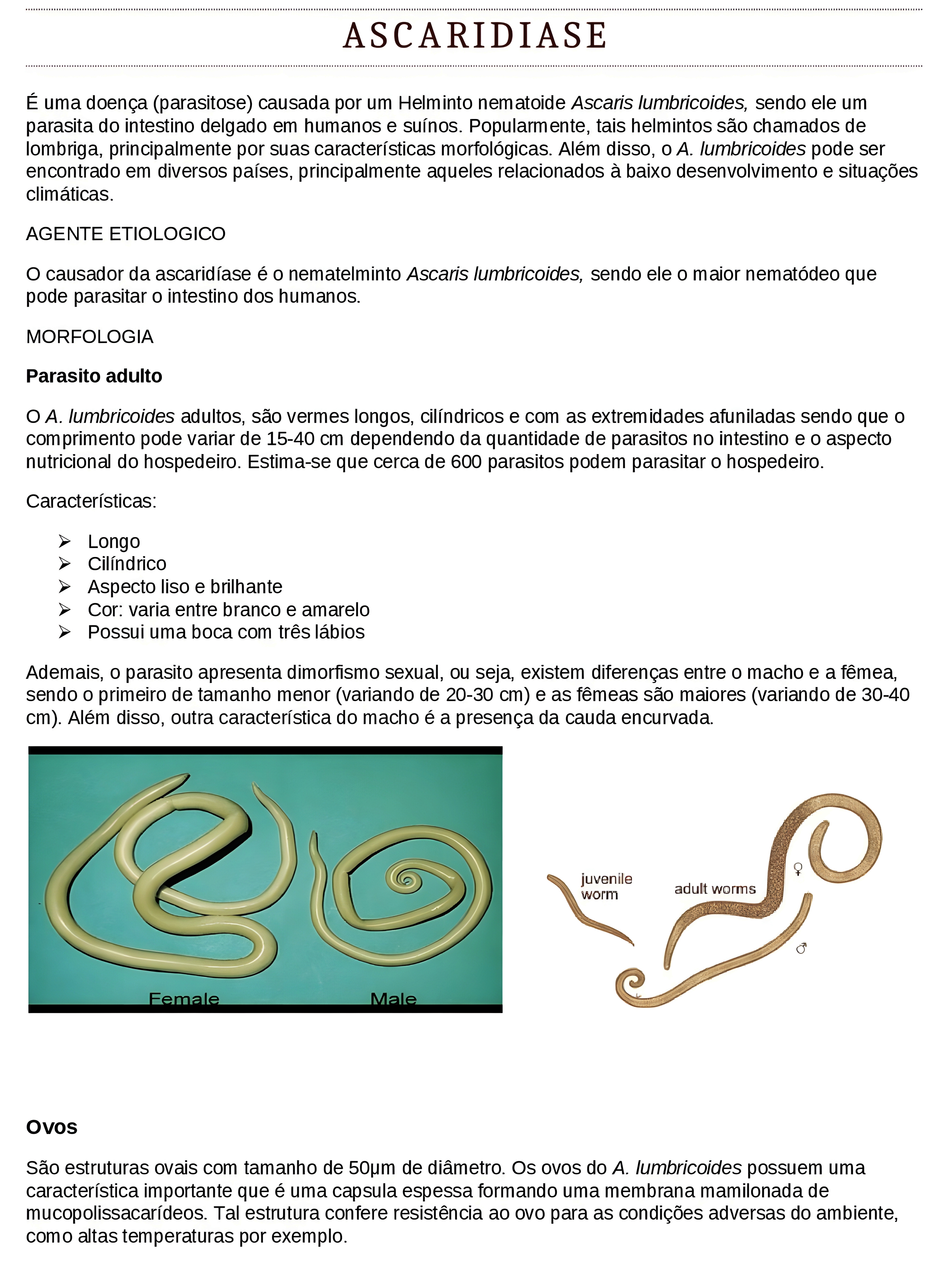 MAPA MENTAL SOBRE ASCARIDIASE