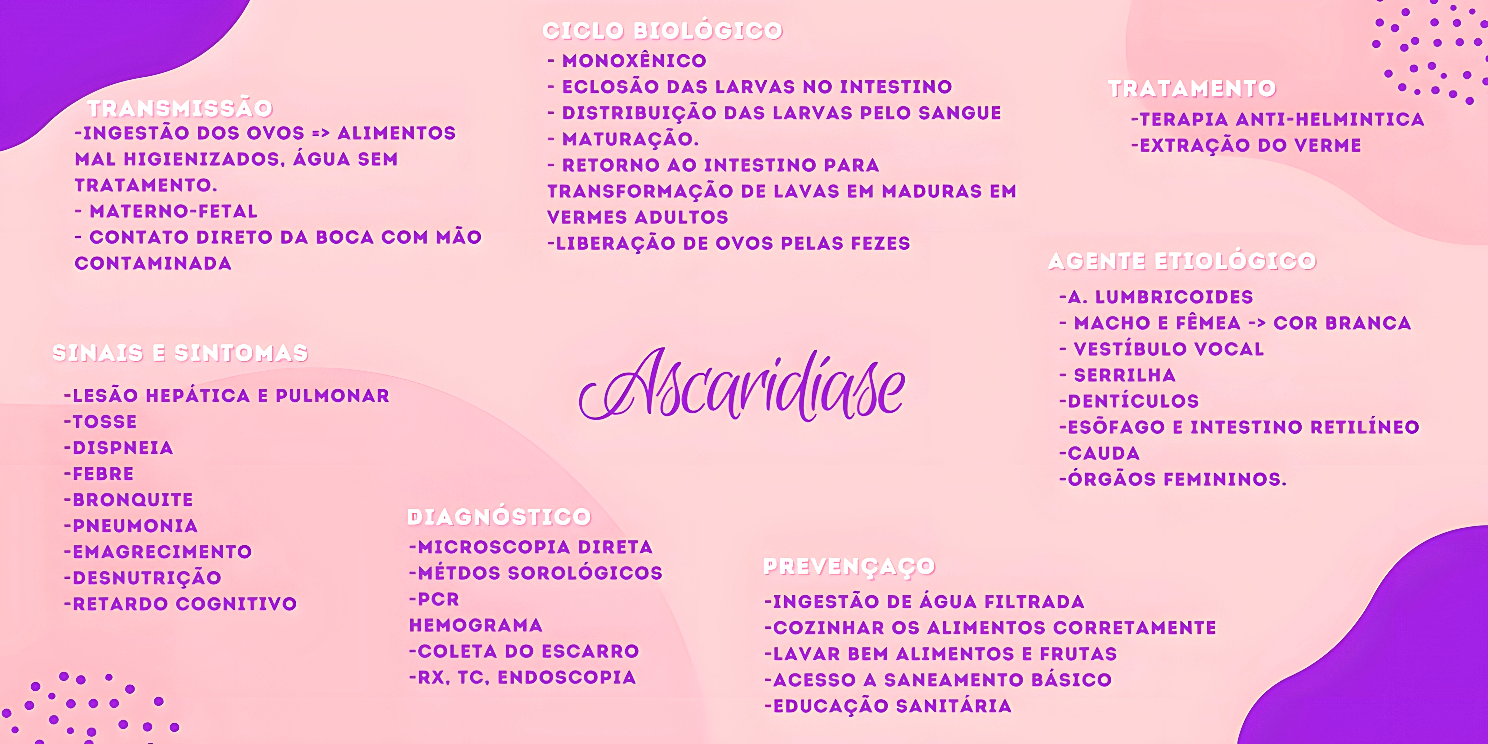 MAPA MENTAL SOBRE ASCARIDIASE