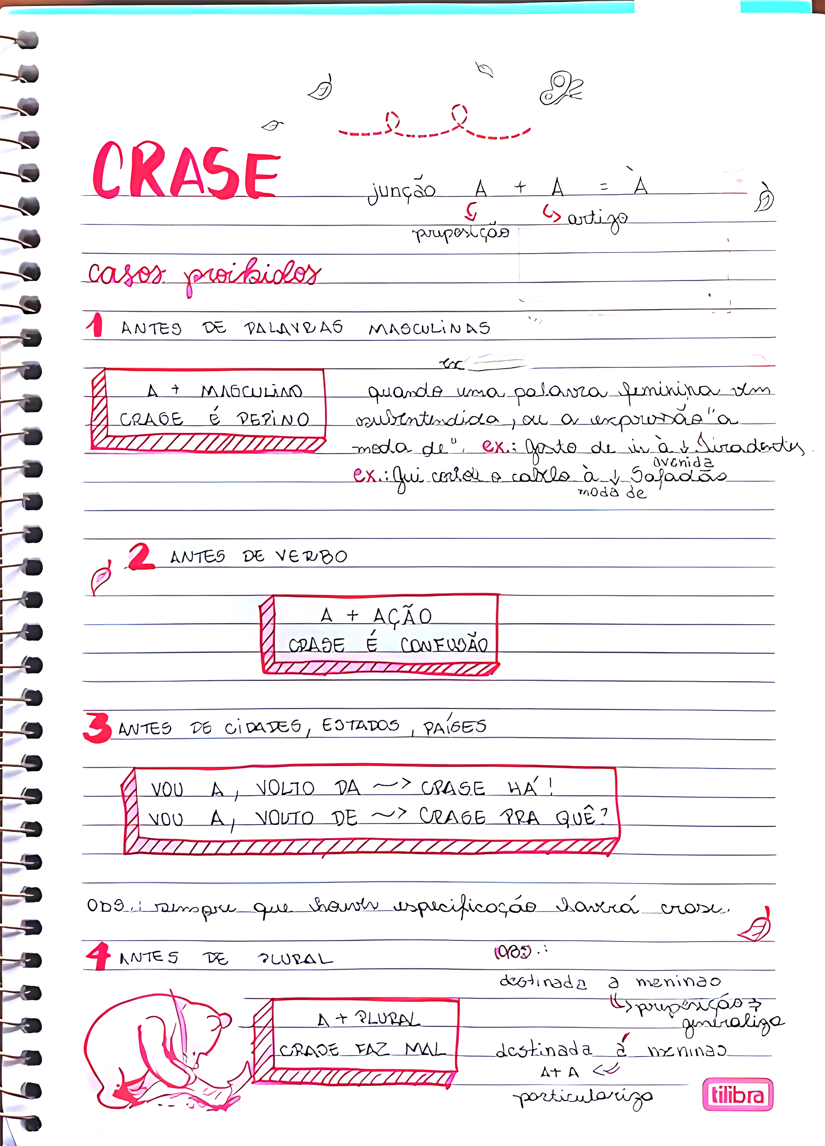 MAPA MENTAL SOBRE CRASE